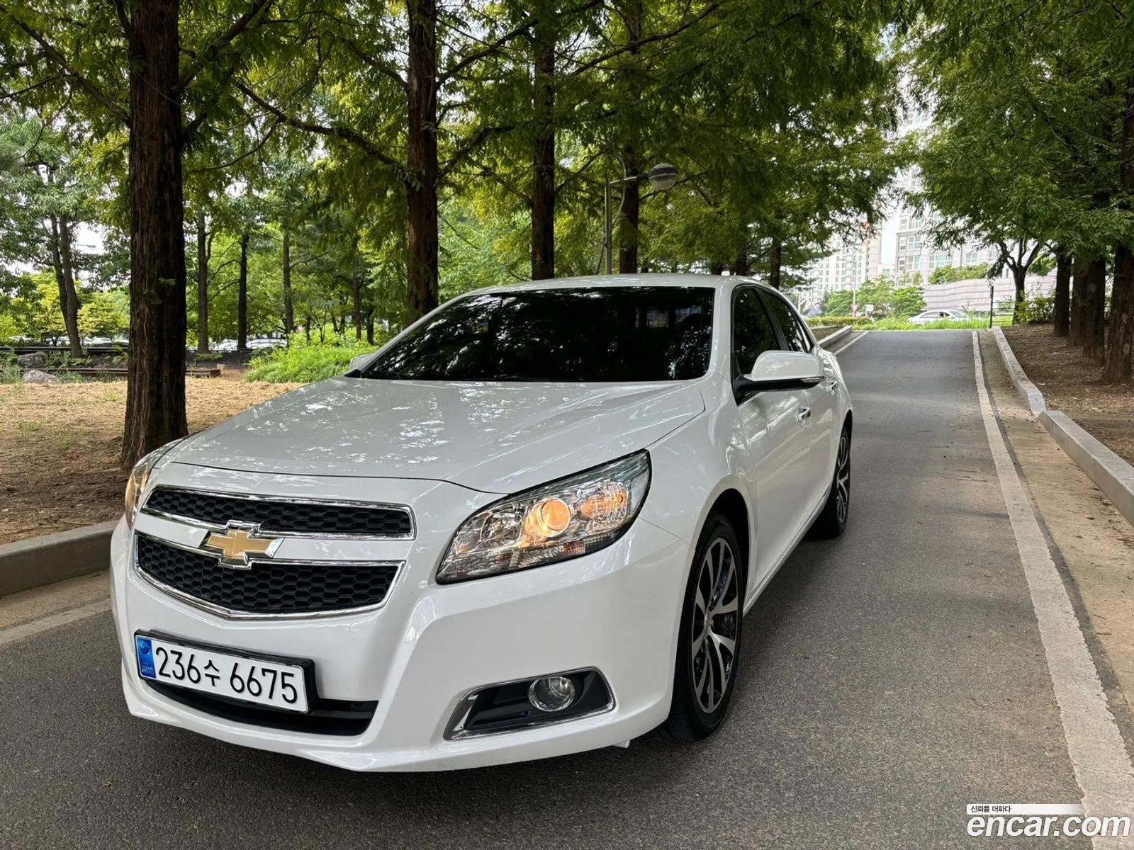 Chevrolet Malibu 20 Diesel Lt Premium Pack 2015 - фотография 18189638