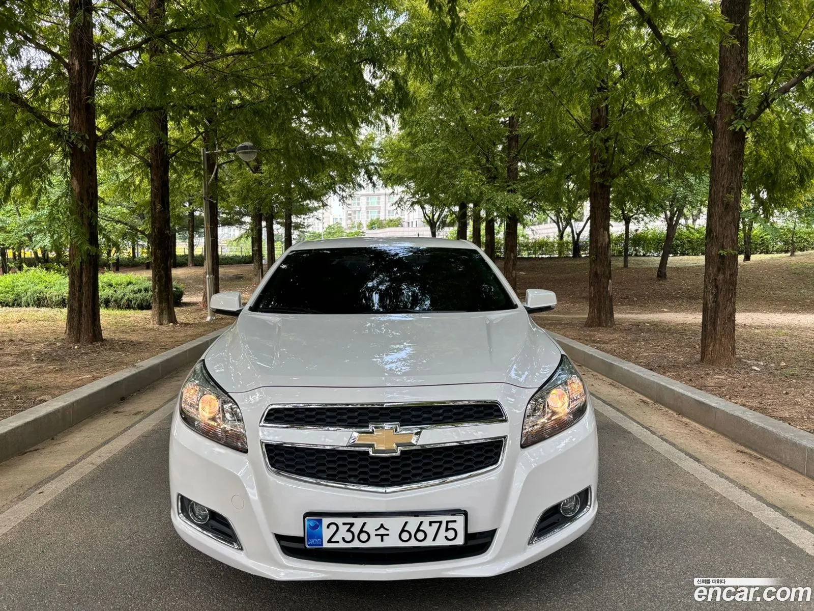 Chevrolet Malibu 20 Diesel Lt Premium Pack 2015 - фотография 18189640