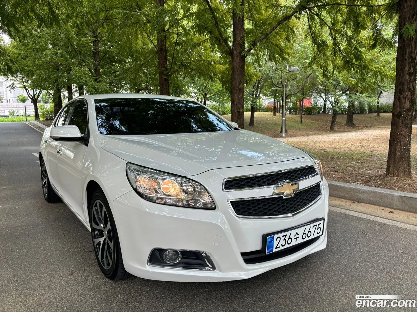 Korex Auto Trade - фотография 18253249