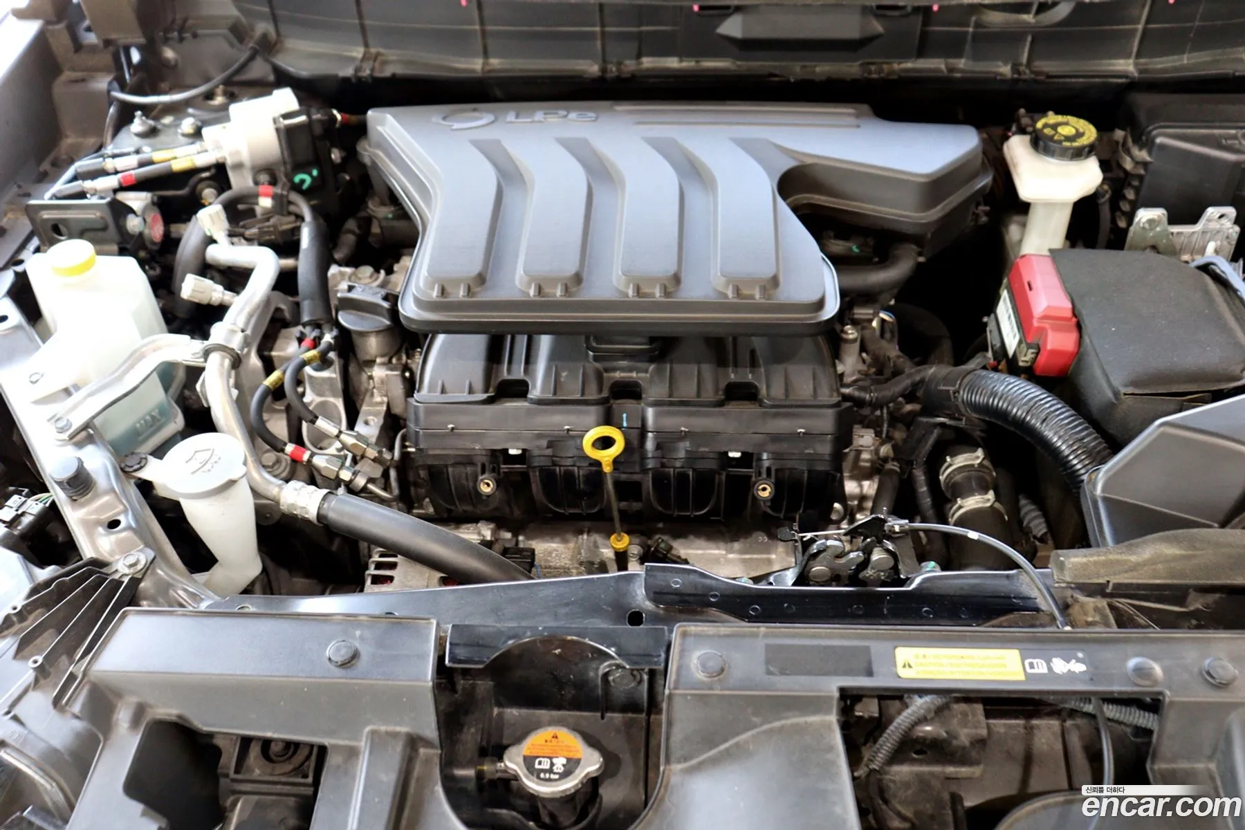 Renault Samsung Qm6 20 Lpe Le Signature 2Wd 2020 - фотография 753766