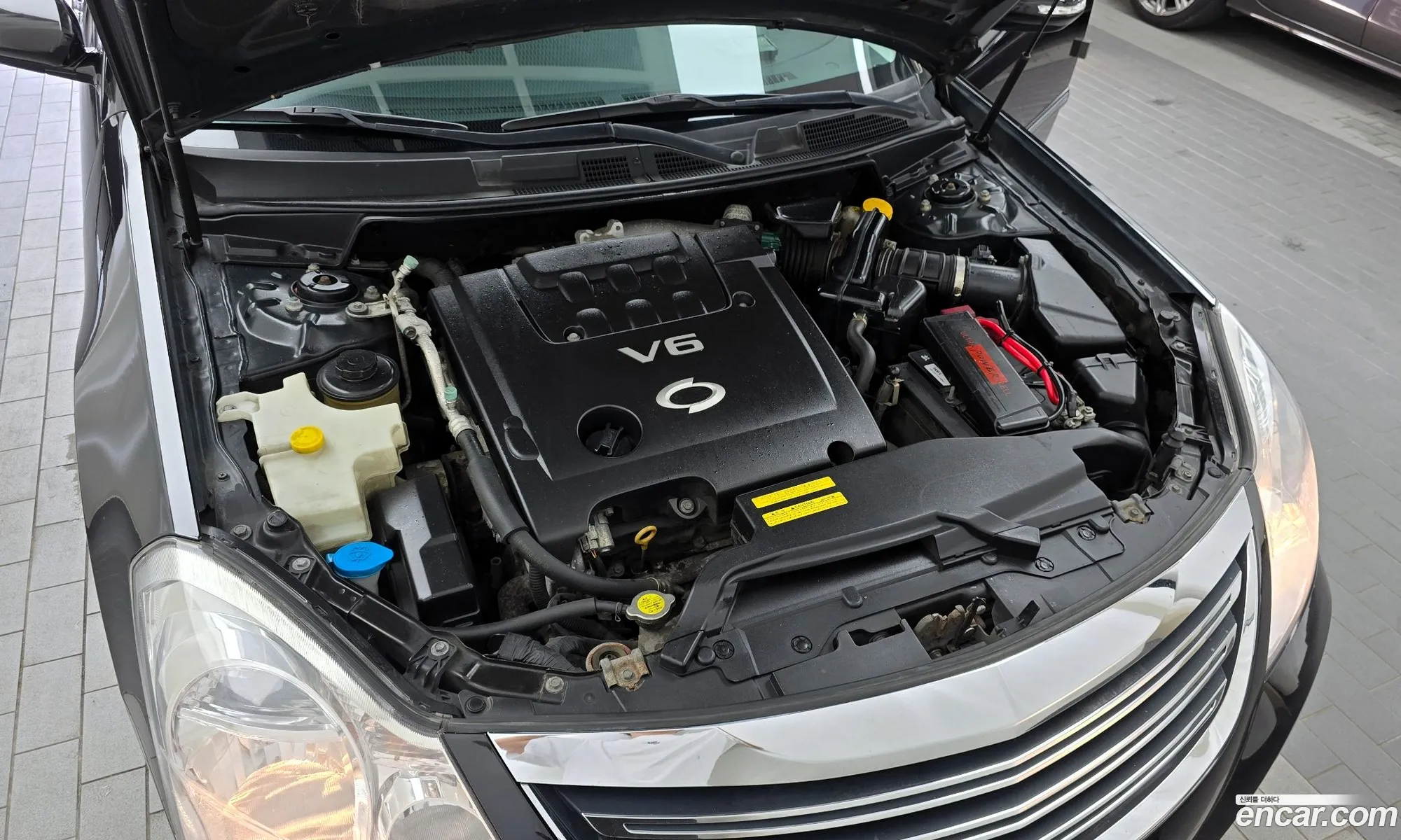 Renault Samsung Sm7 Sm7 Se Pleasure 2010 - фотография 753718