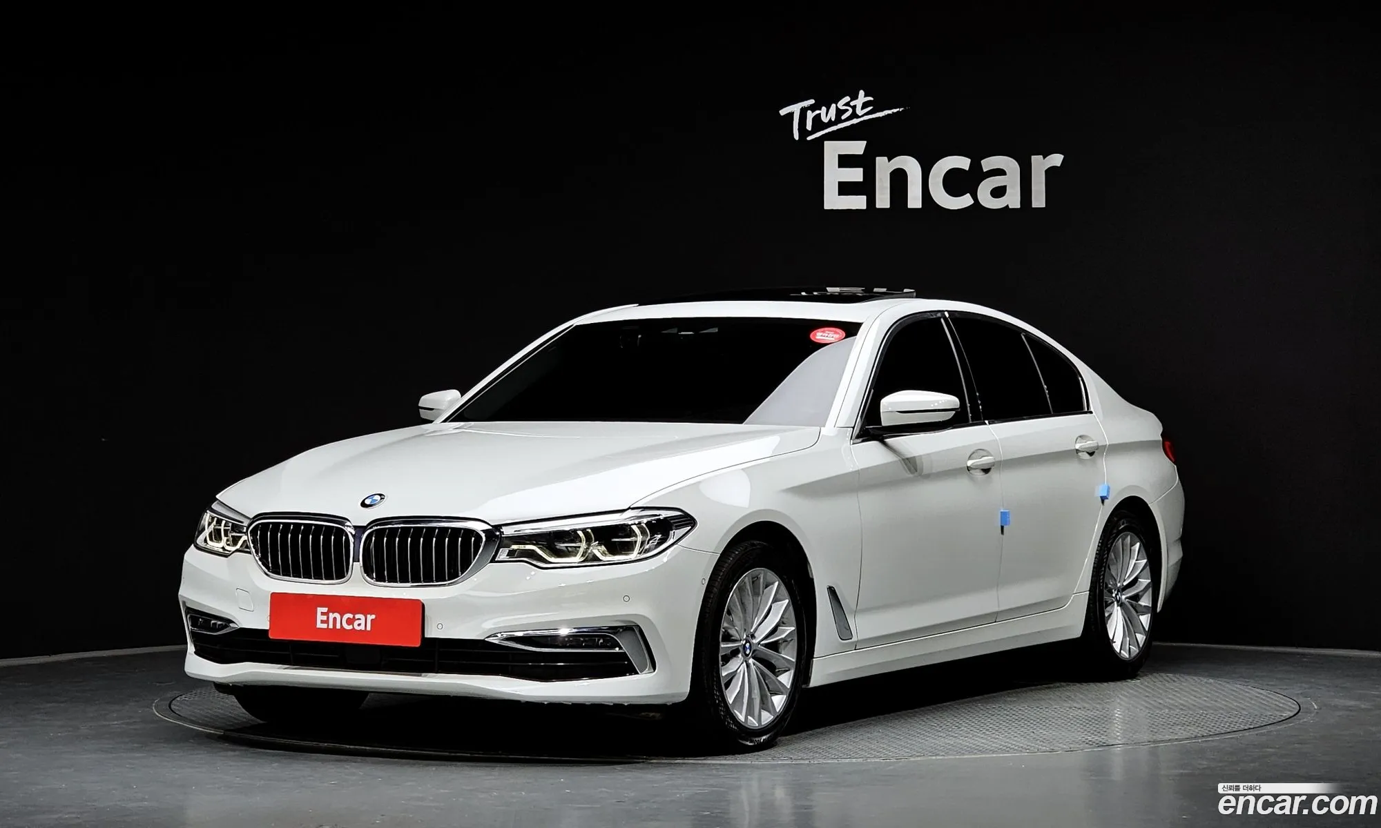 BMW 5Er Vii G30G31 530I xDrive Luxury Plus 2019 - фотография 11392142