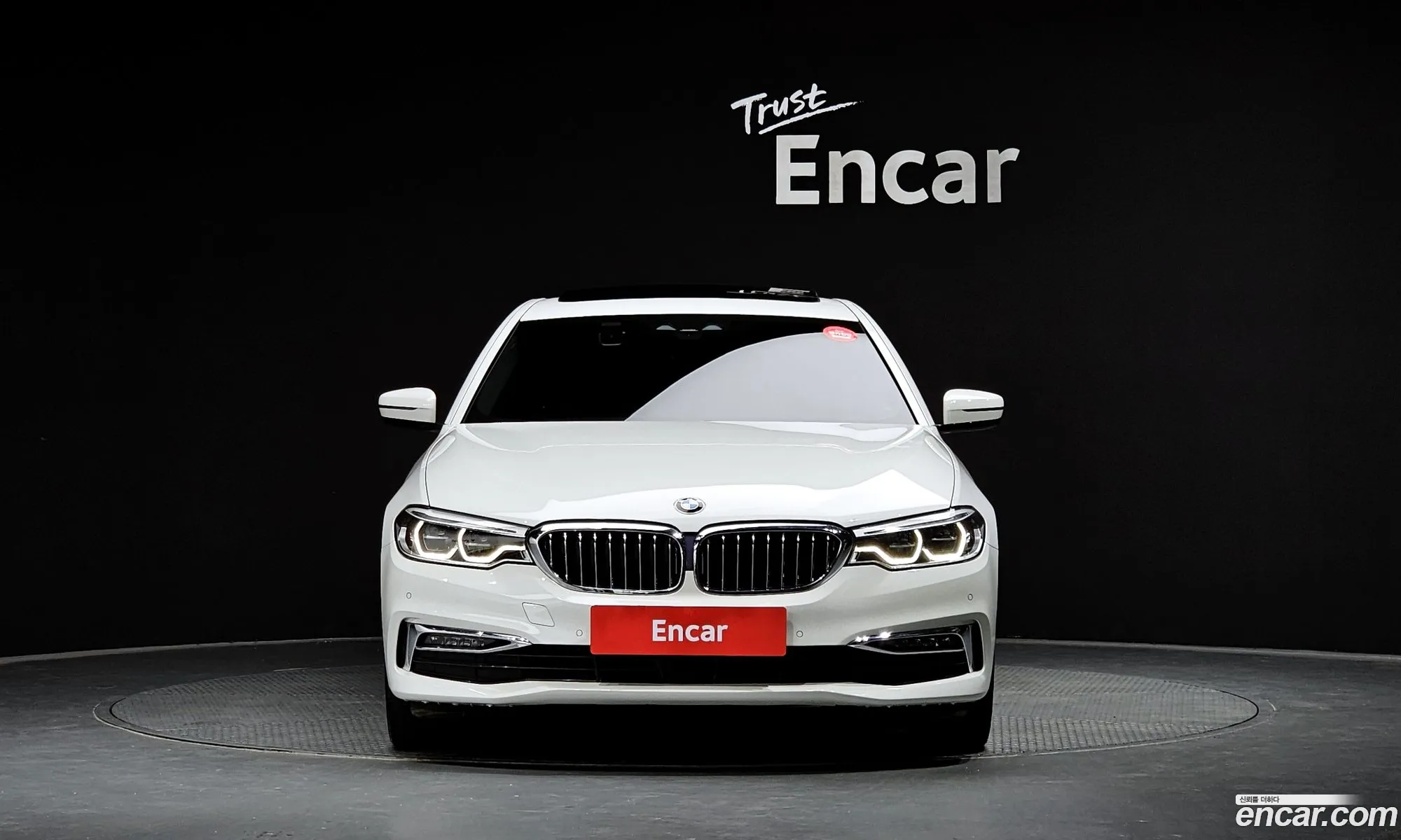 BMW 5Er Vii G30G31 530I xDrive Luxury Plus 2019 - фотография 11392144