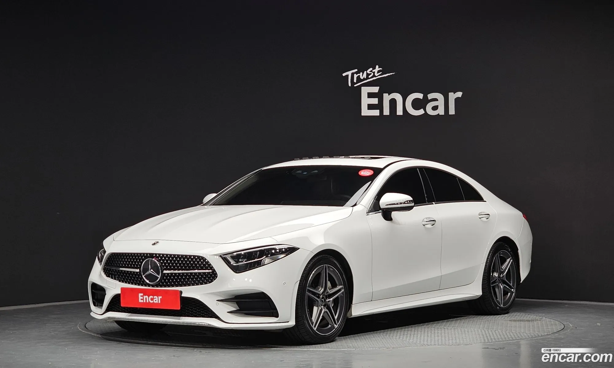 Mercedes-Benz Cls-Klasse Iii C257 Cls300D Amg Line 2020 - фотография 1799180