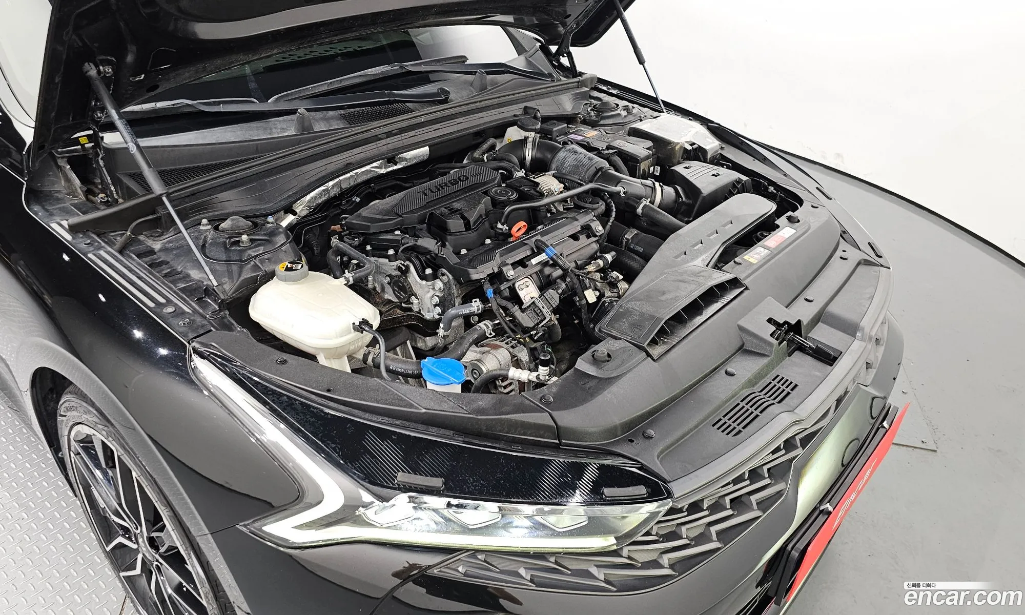Kia K5 Ii 16 Turbo 2020 - фотография 18862393
