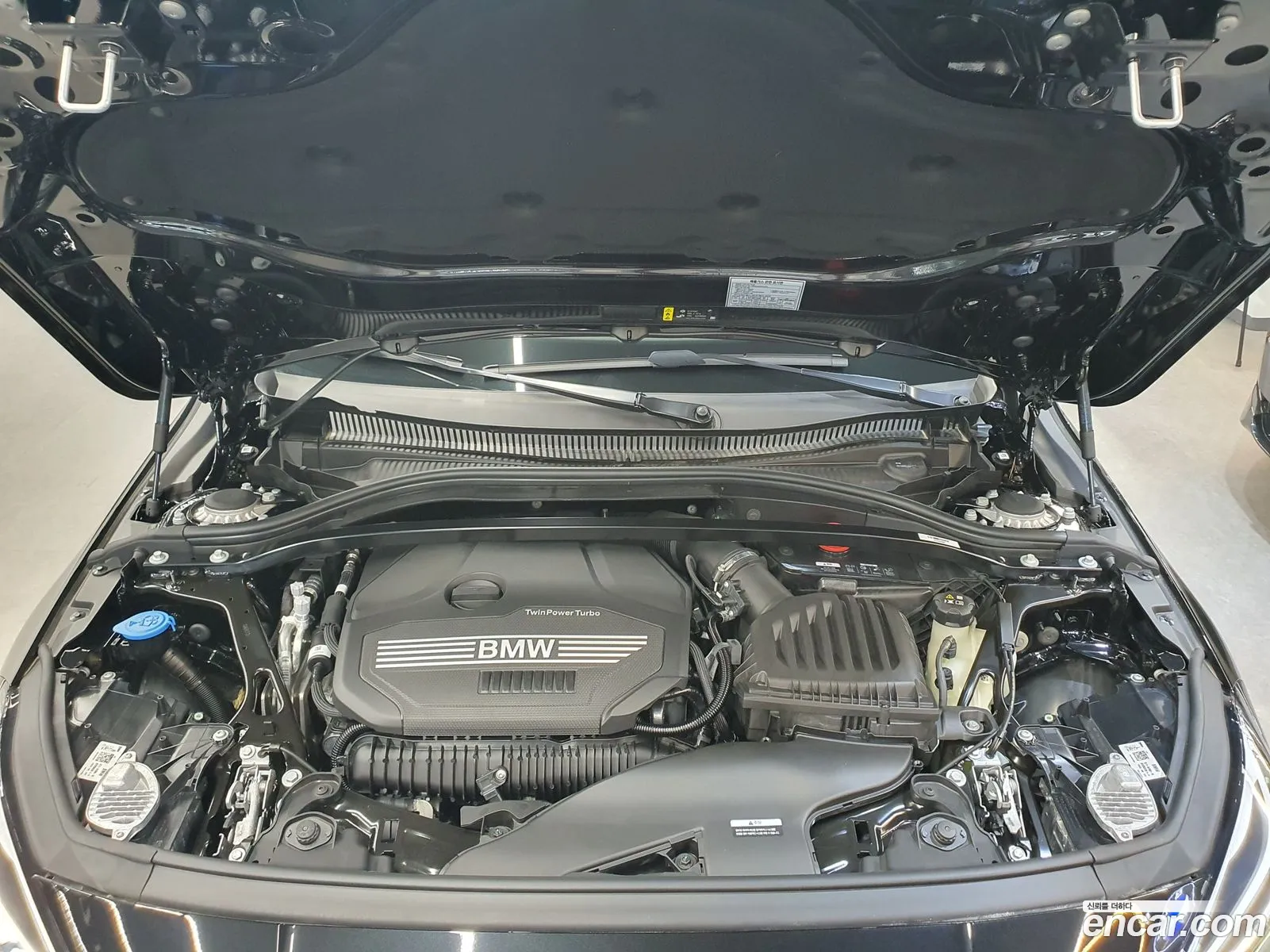 Korex Auto Trade - фотография 11330855