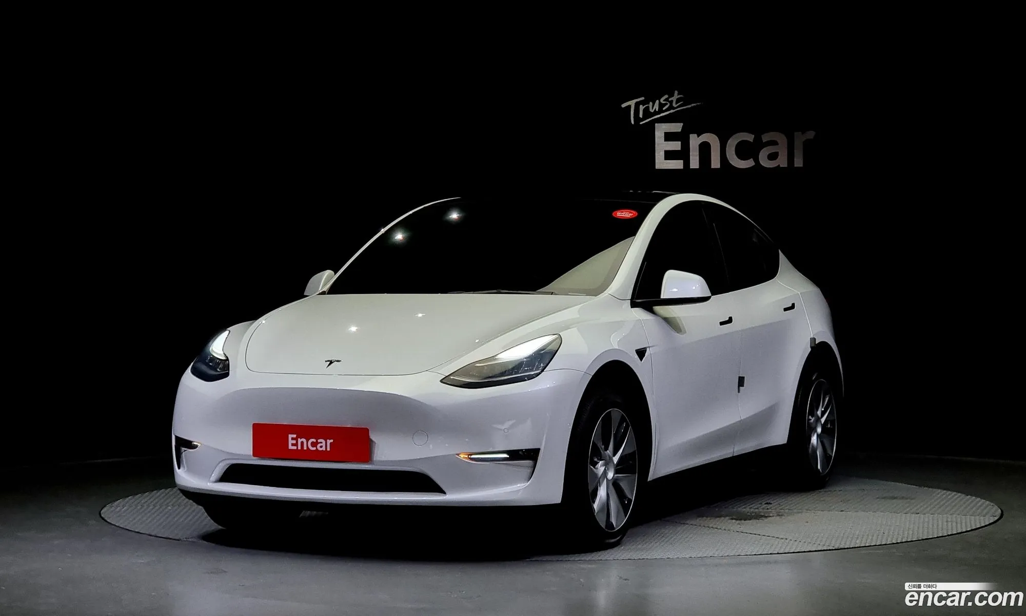 Tesla Model Y I Long Range 2021 - фотография 3514592