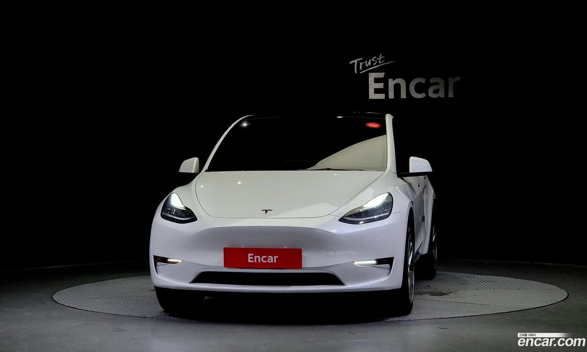 Tesla Model Y I Long Range 2021 - фотография 3514594