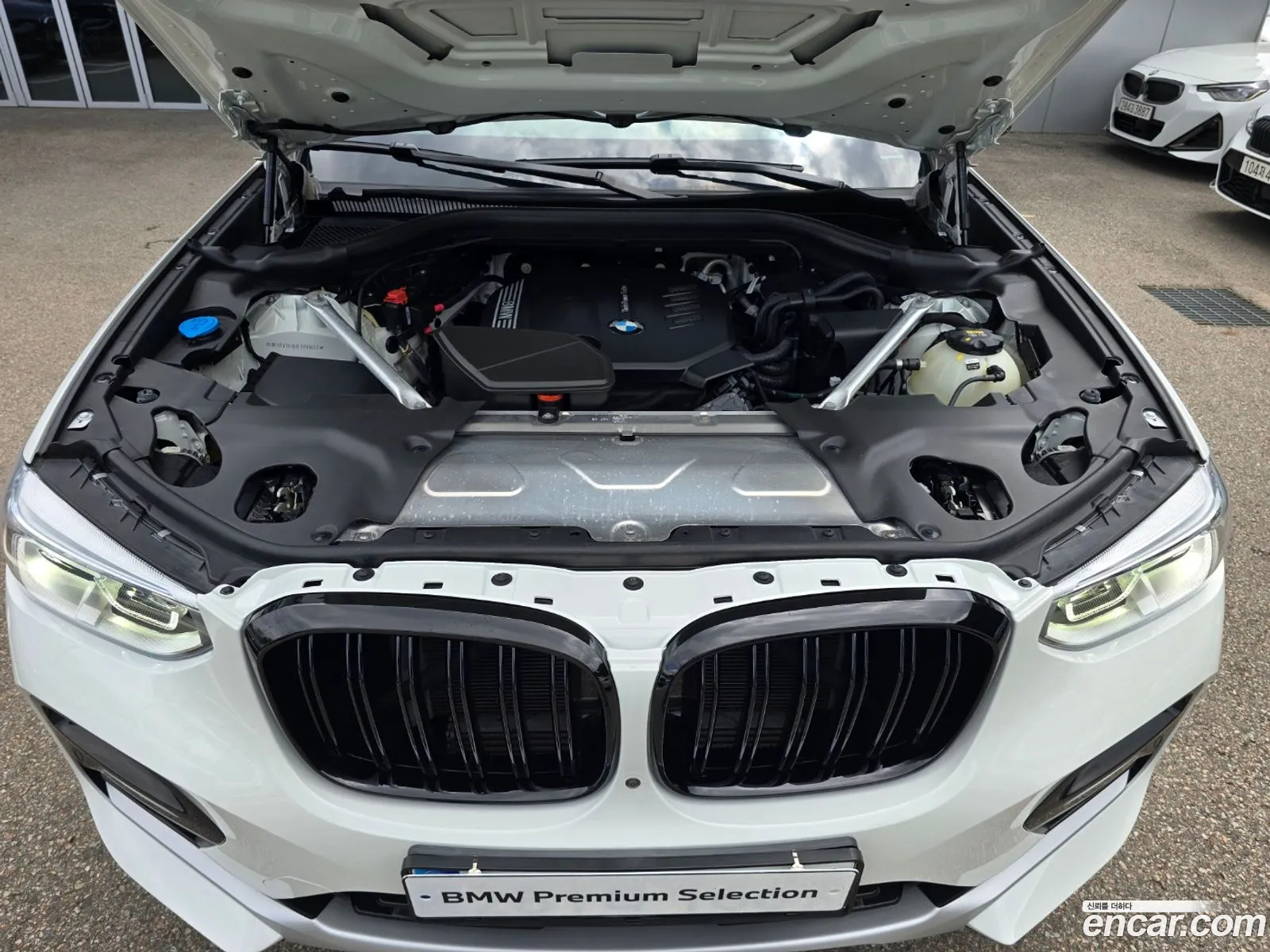 BMW X4 Ii G02 xDrive20D Xline 2020 - фотография 2349456