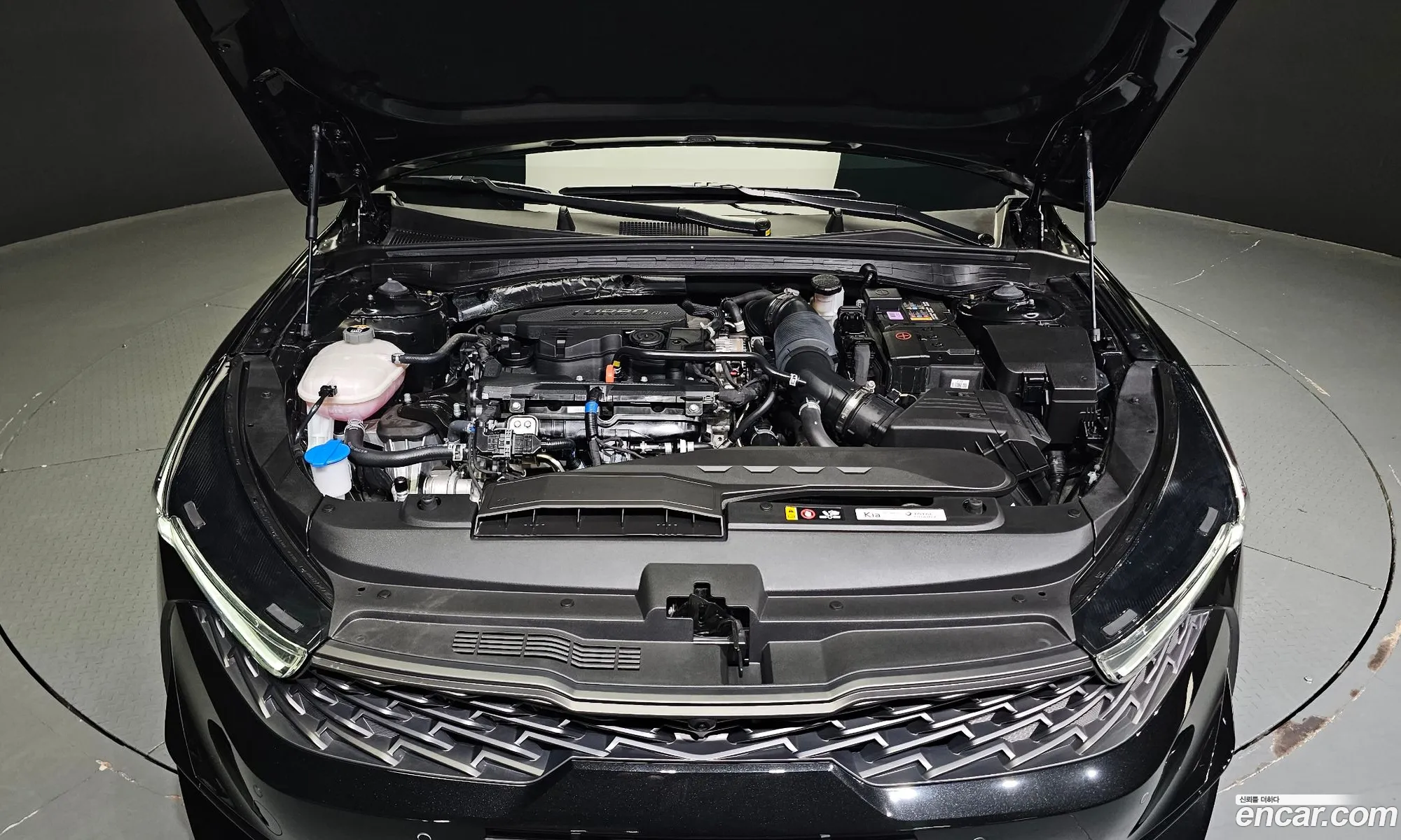 Kia K5 16 Turbo 2023 - фотография 18862405