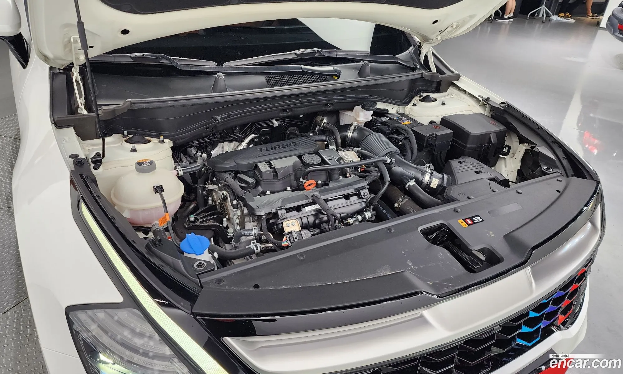 Kia Sportage Gasoline 16 Turbo 4Wd 2021 - фотография 18862381