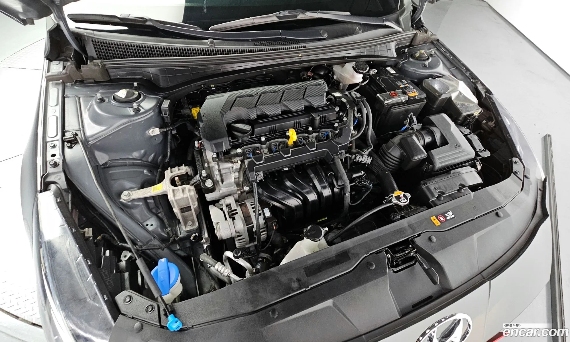 Hyundai Avante Vi 16 2022 - фотография 17040616