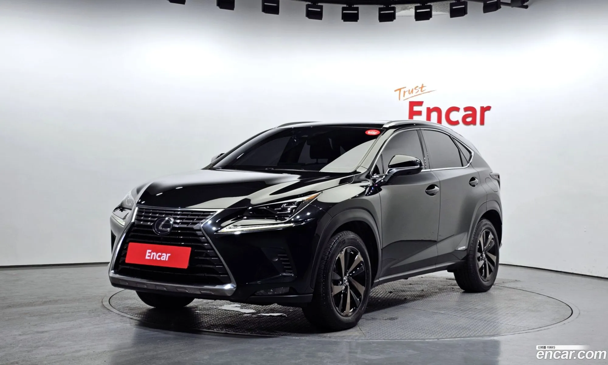 Lexus Nx Executive 2021 - фотография 3515872