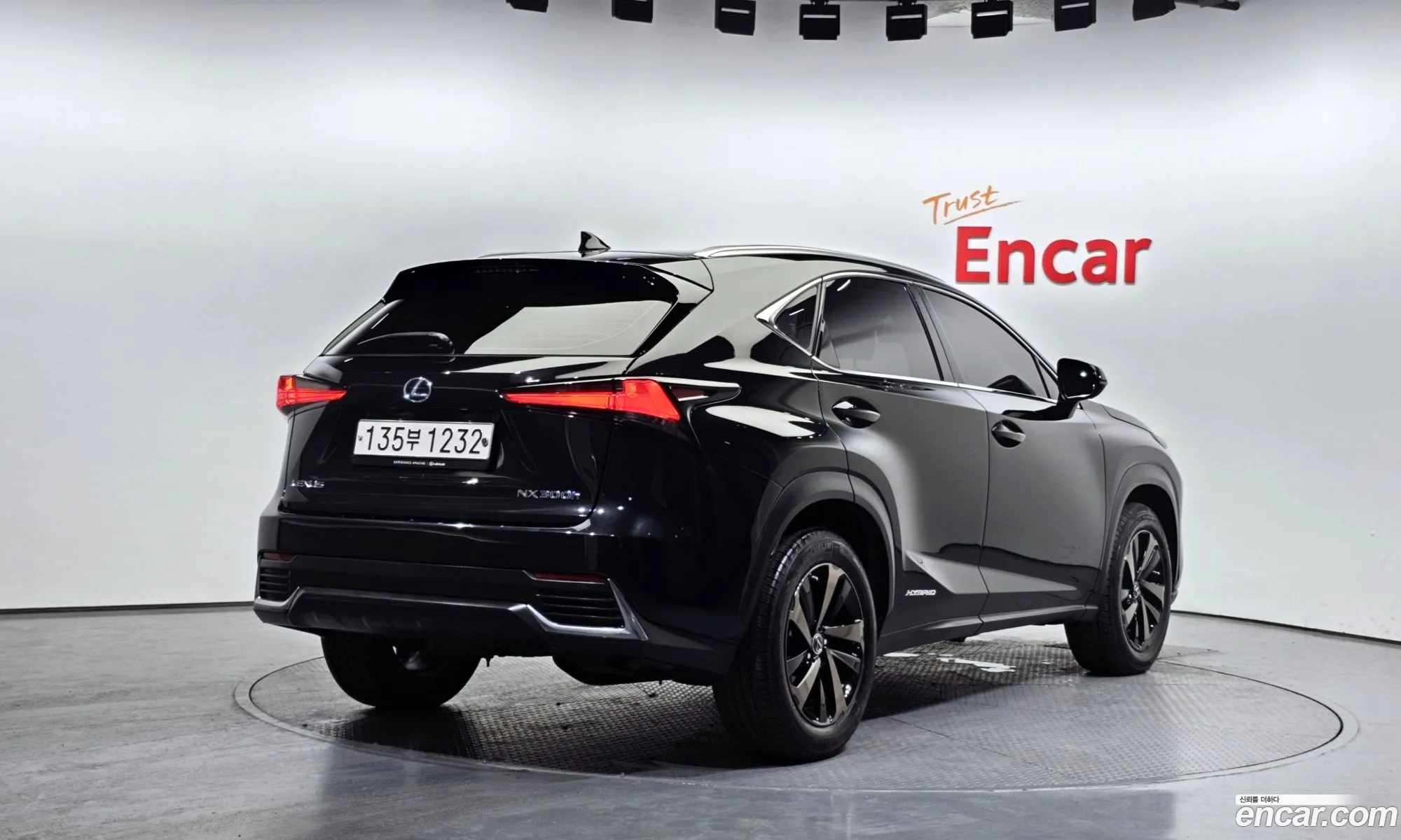 Lexus Nx Executive 2021 - фотография 3515873