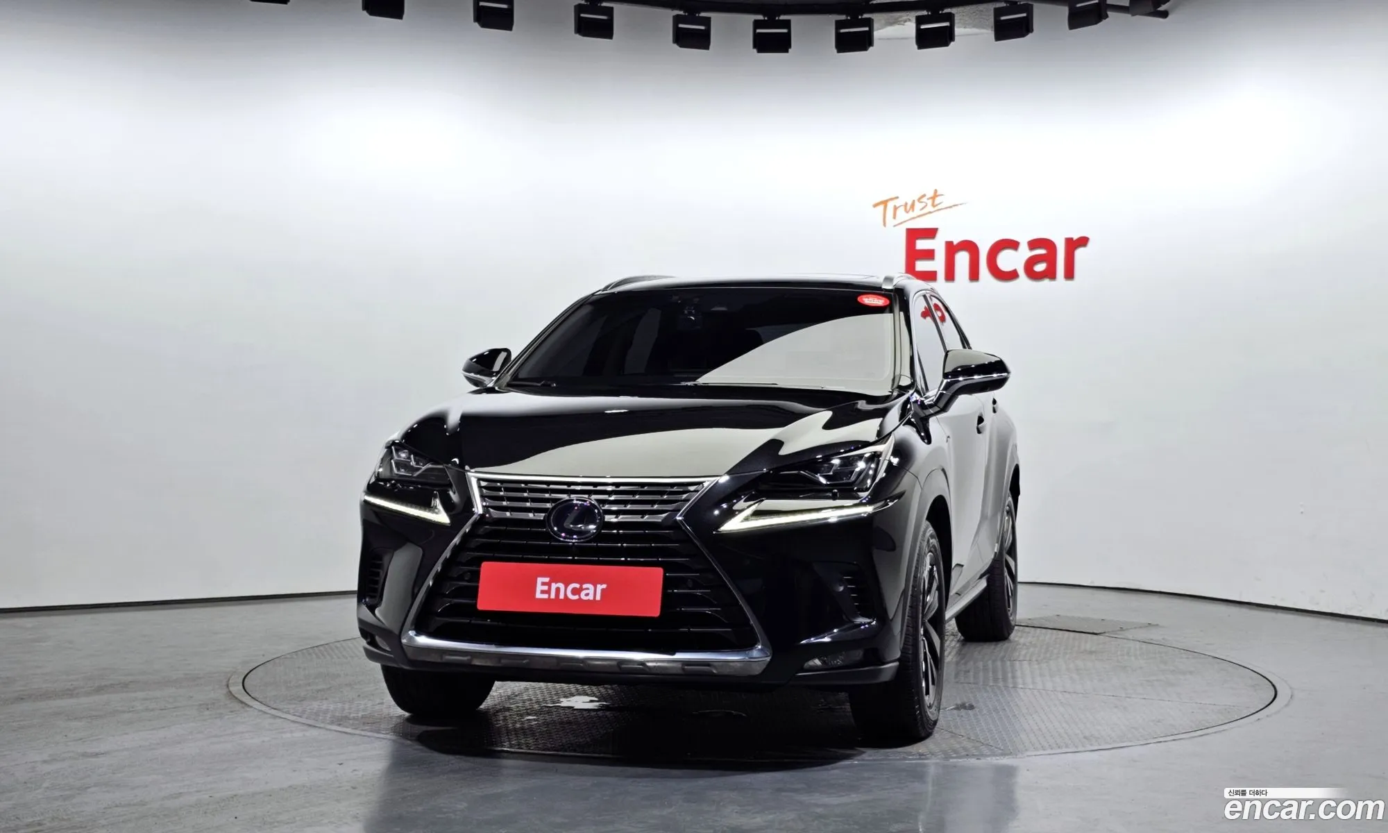 Lexus Nx Executive 2021 - фотография 3515874