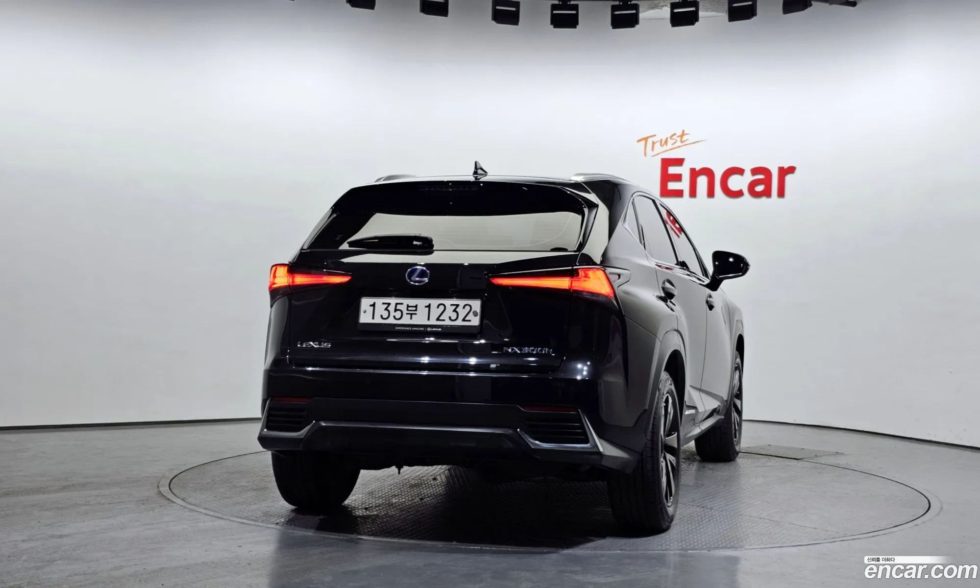 Lexus Nx Executive 2021 - фотография 3515875