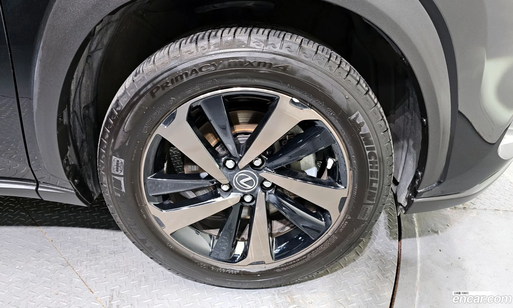 Lexus Nx Executive 2021 - фотография 3515876