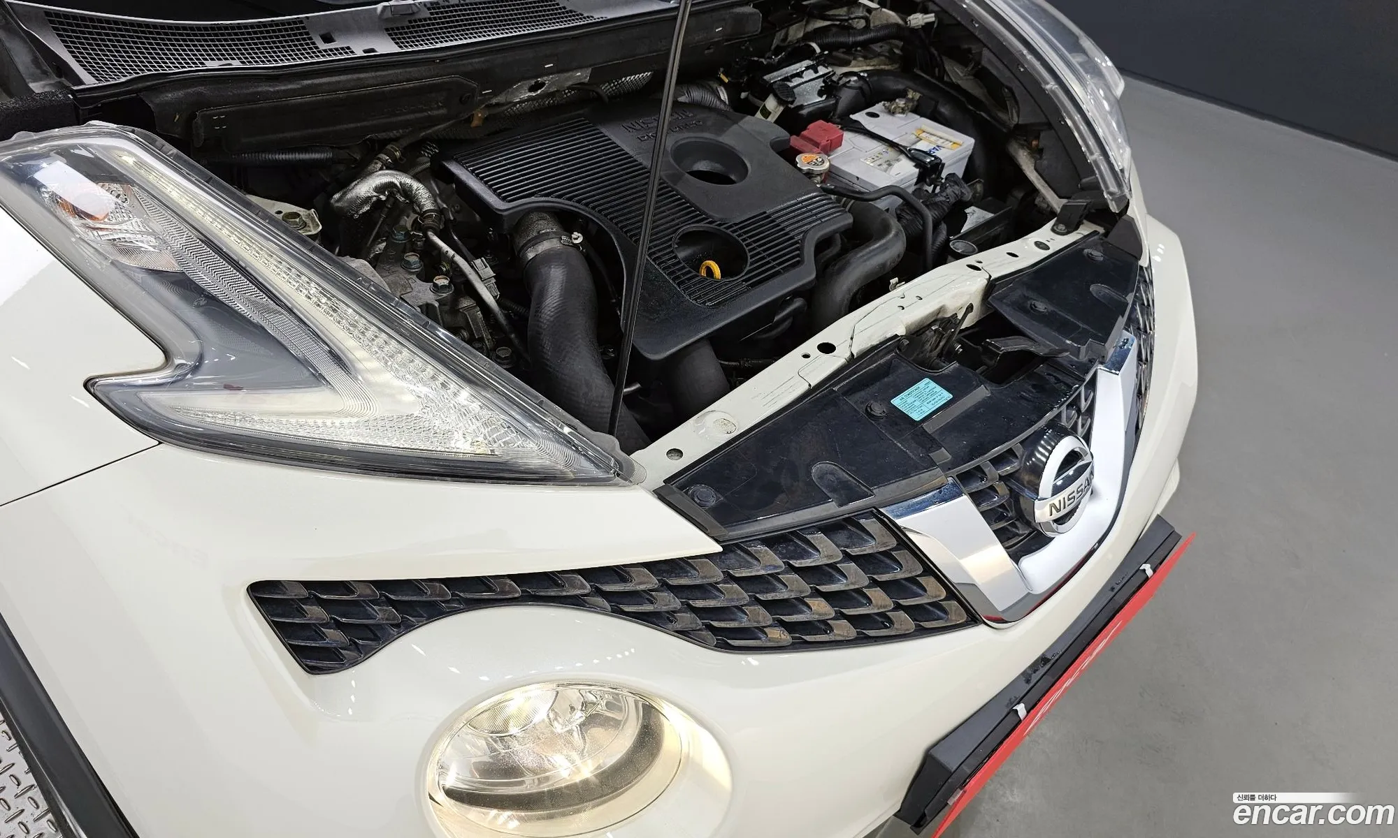 Nissan Juke I 16 Sv 2016 - фотография 3517069