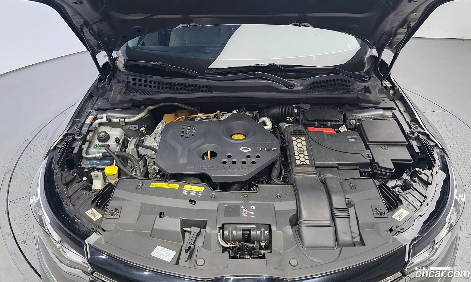 Renault Samsung Sm6 16 Tce Re 2016 - фотография 683435