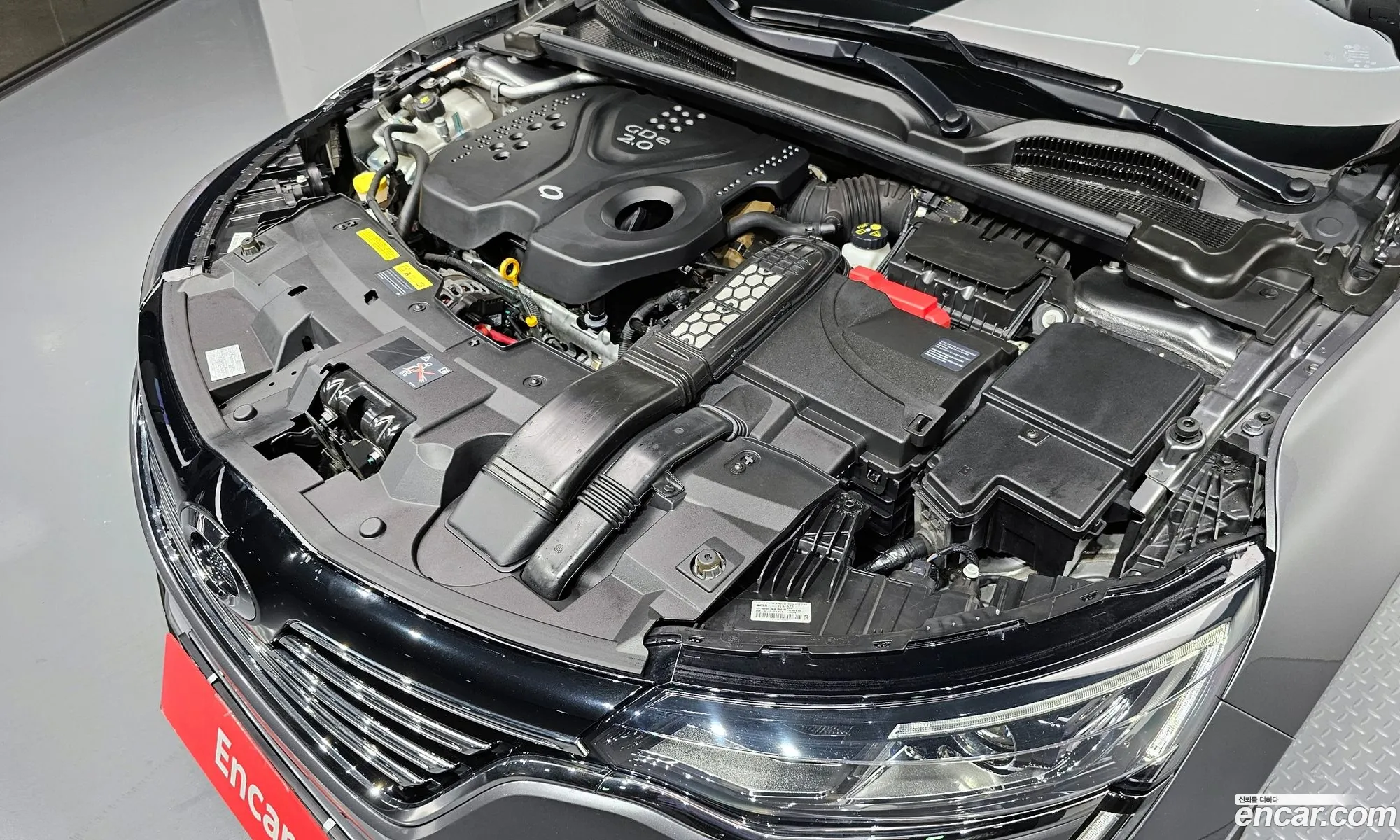 Renault Samsung Sm6 20Gde Se 2019 - фотография 683459