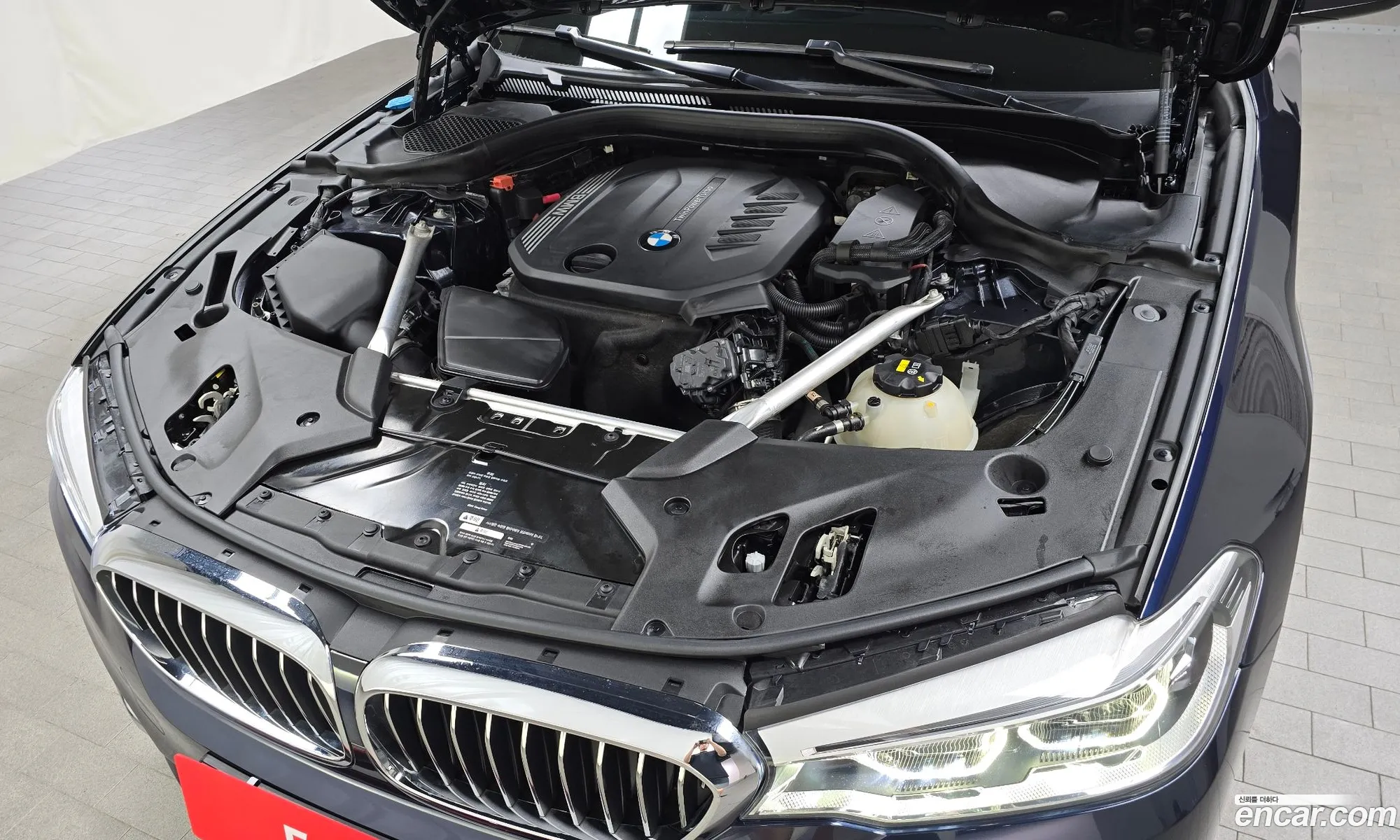 BMW 5Er Vii G30G31 520D xDrive Luxury Plus 2020 - фотография 13486444