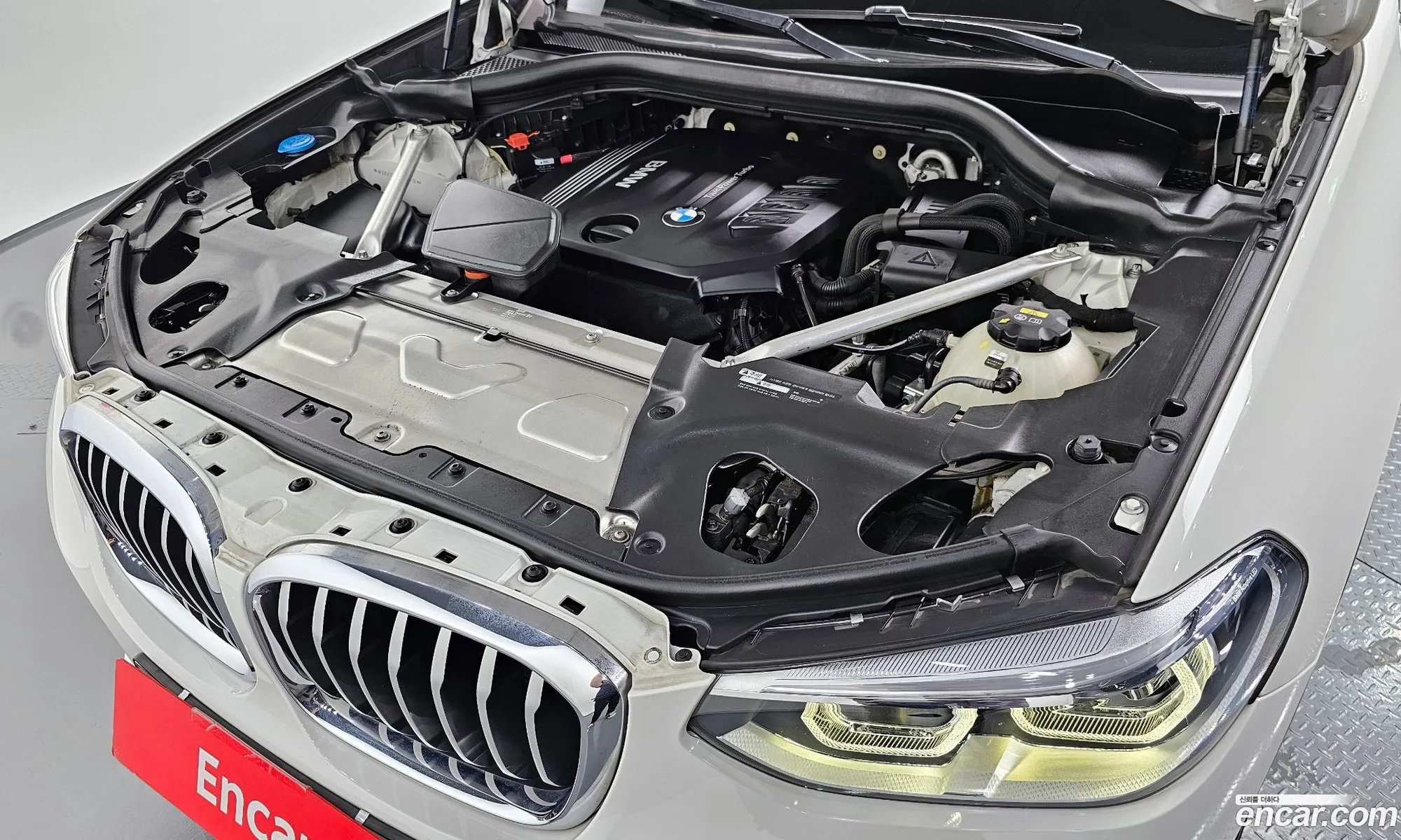 BMW X4 Ii G02 xDrive20D Xline 2019 - фотография 11358708