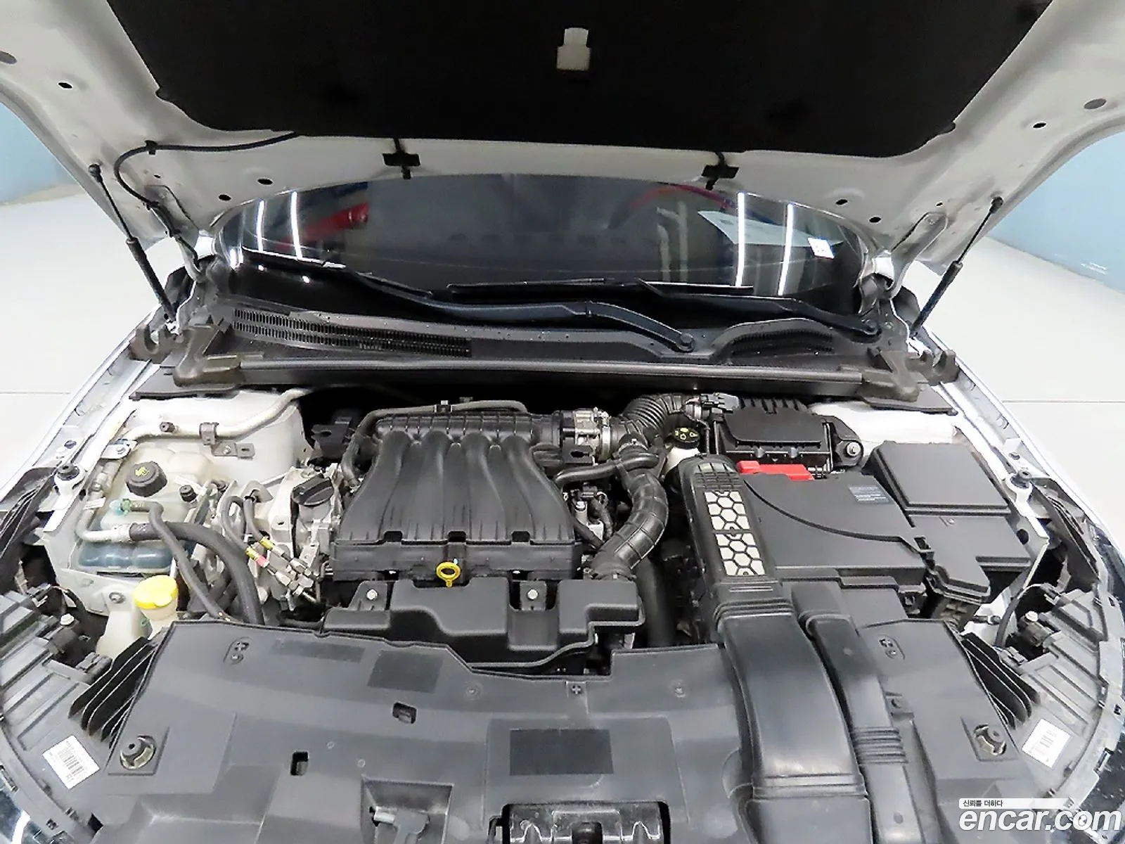 Renault Samsung Sm6 20 Lpe Re For The Disabled 2016 - фотография 750233