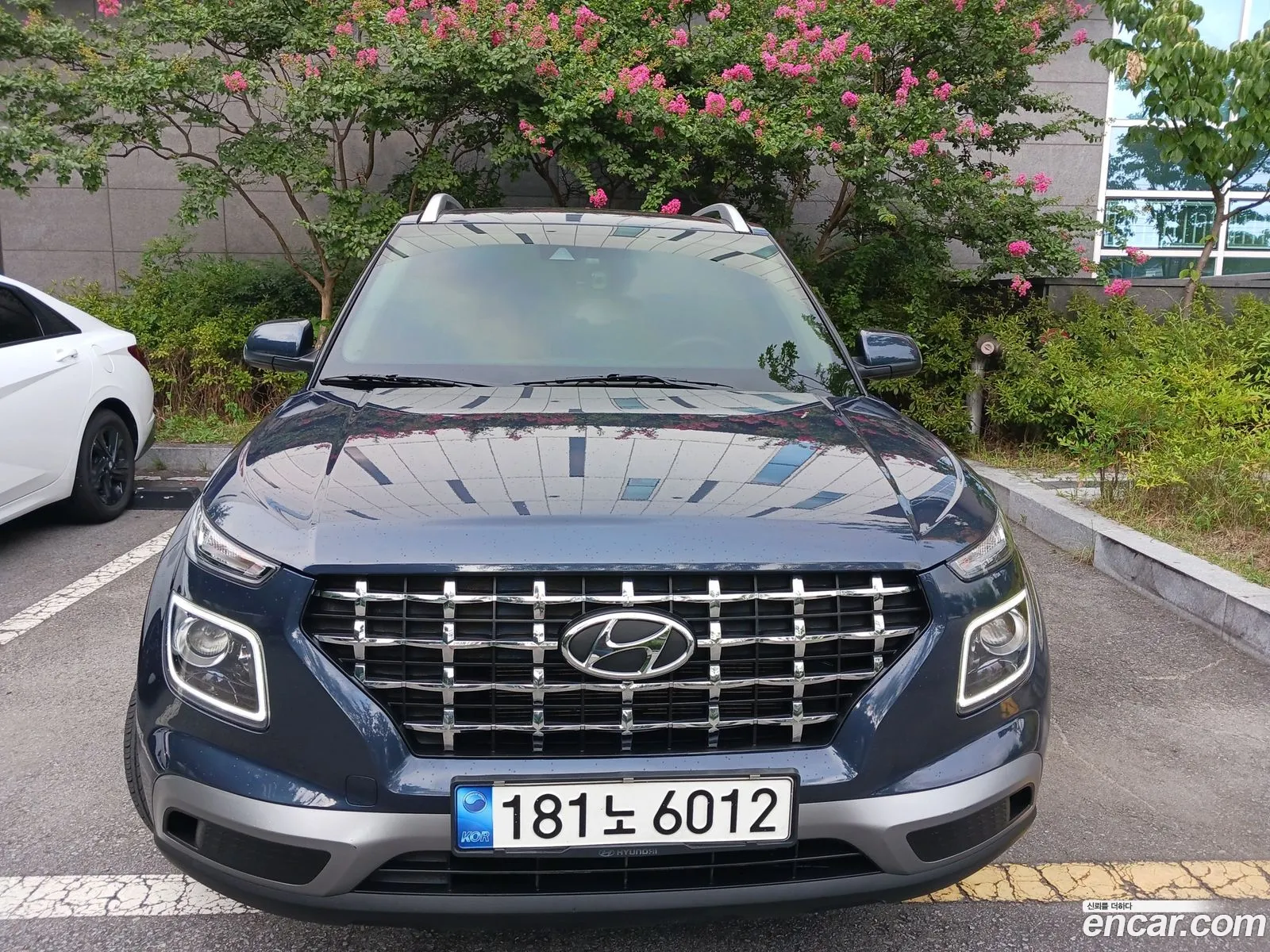Hyundai Venue I 16 Modern Plus 2021 - фотография 18809867