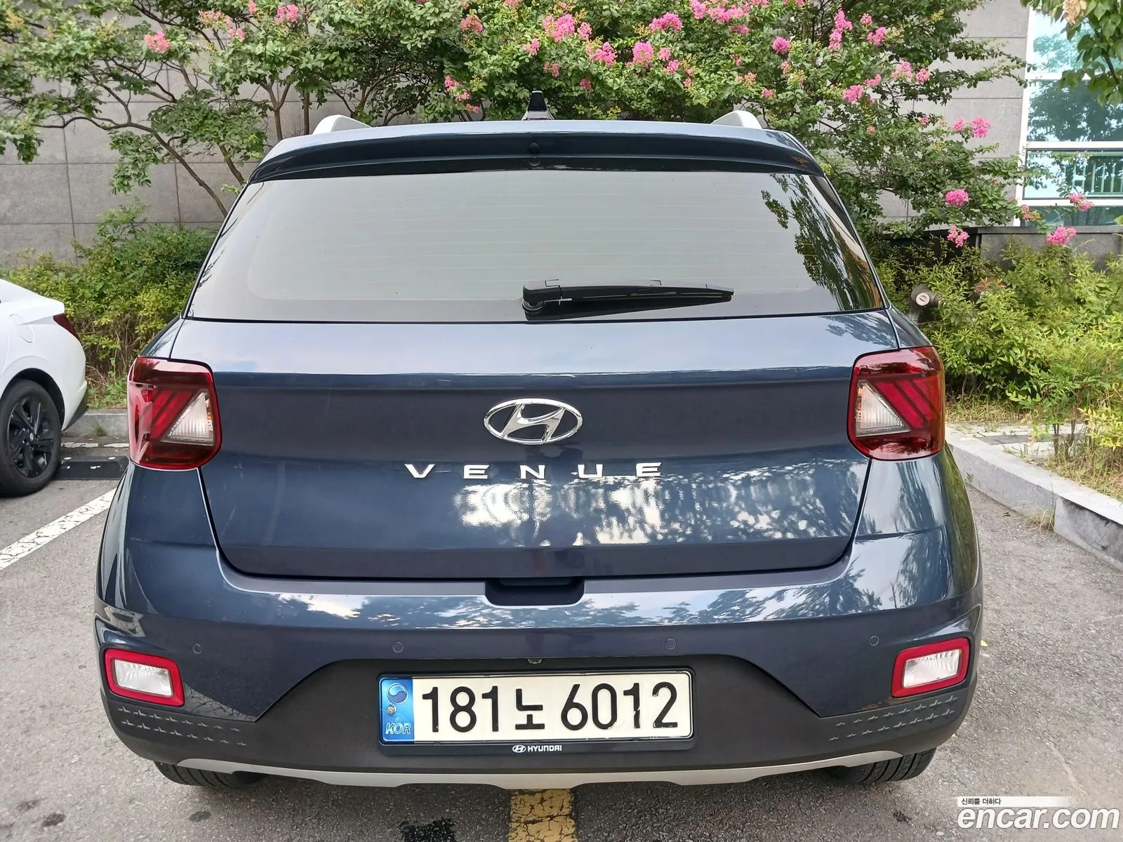 Hyundai Venue I 16 Modern Plus 2021 - фотография 18809869