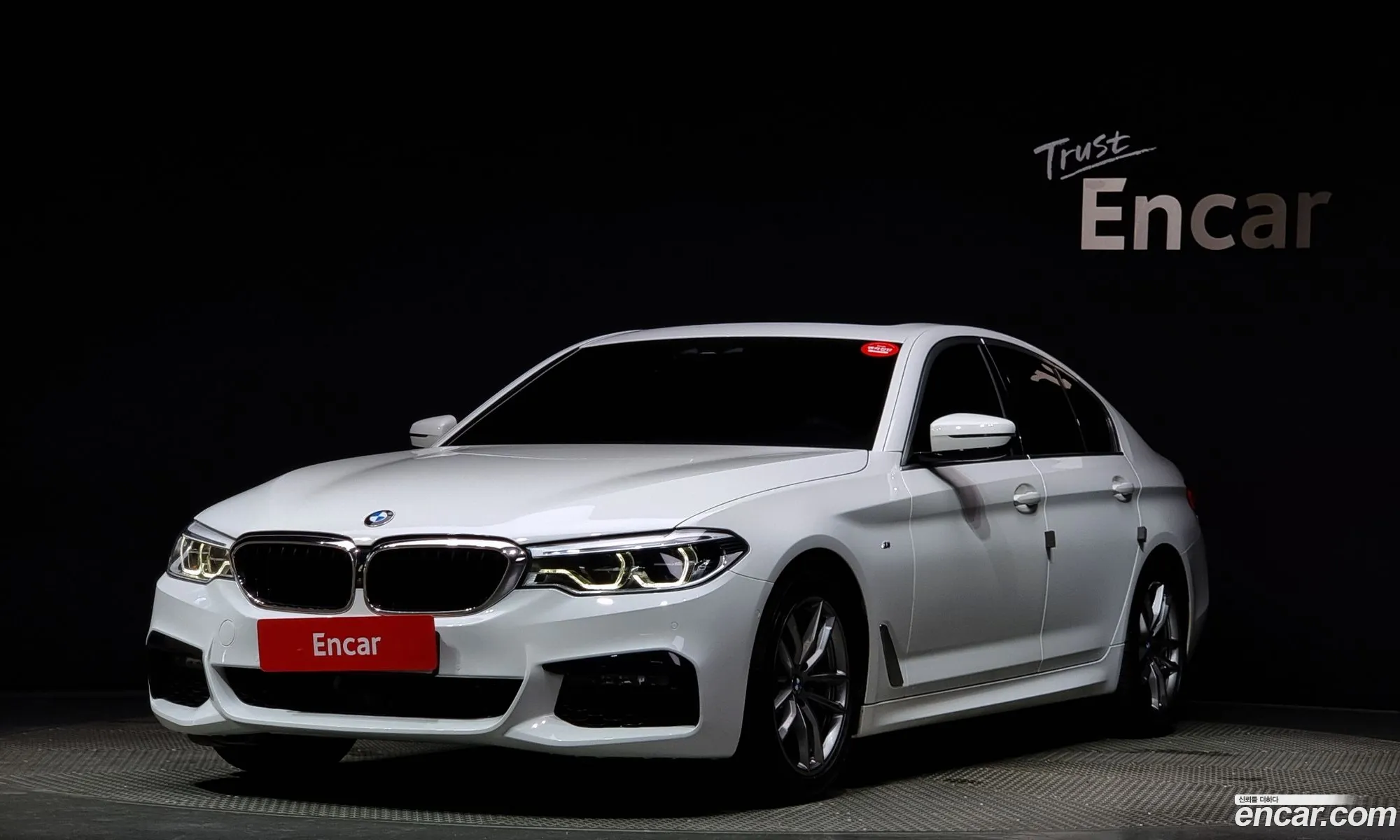 BMW 5Er Vii G30G31 520D M Sport Plus 2020 - фотография 11358666
