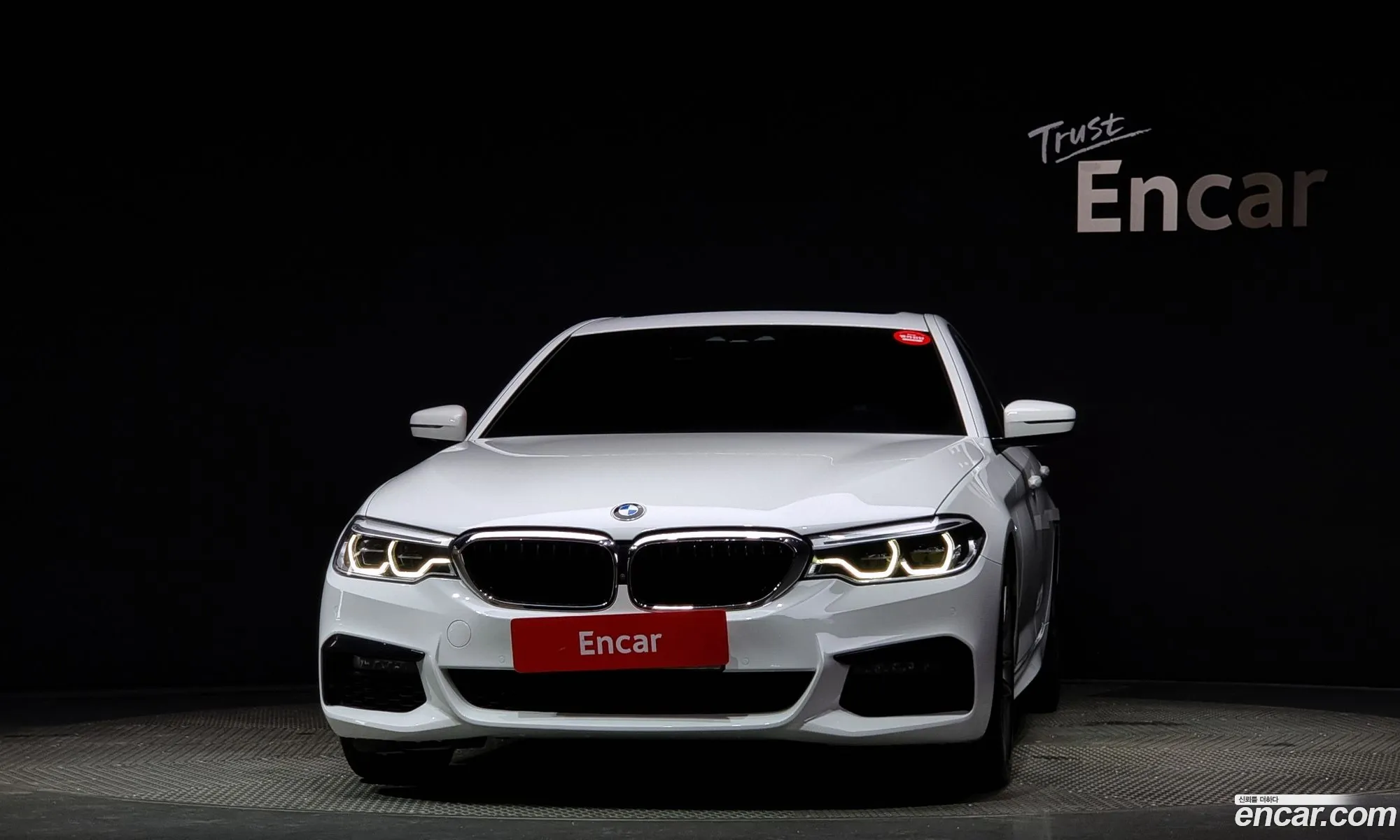 BMW 5Er Vii G30G31 520D M Sport Plus 2020 - фотография 11358668