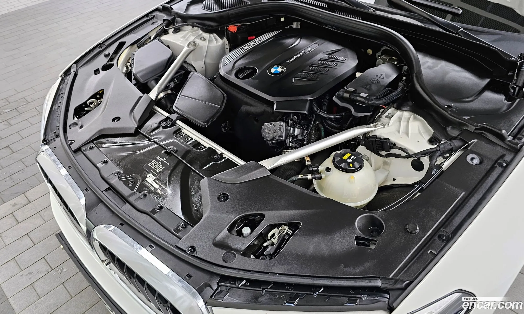 BMW 5Er Vii G30G31 520D M Sport Plus 2020 - фотография 11358671