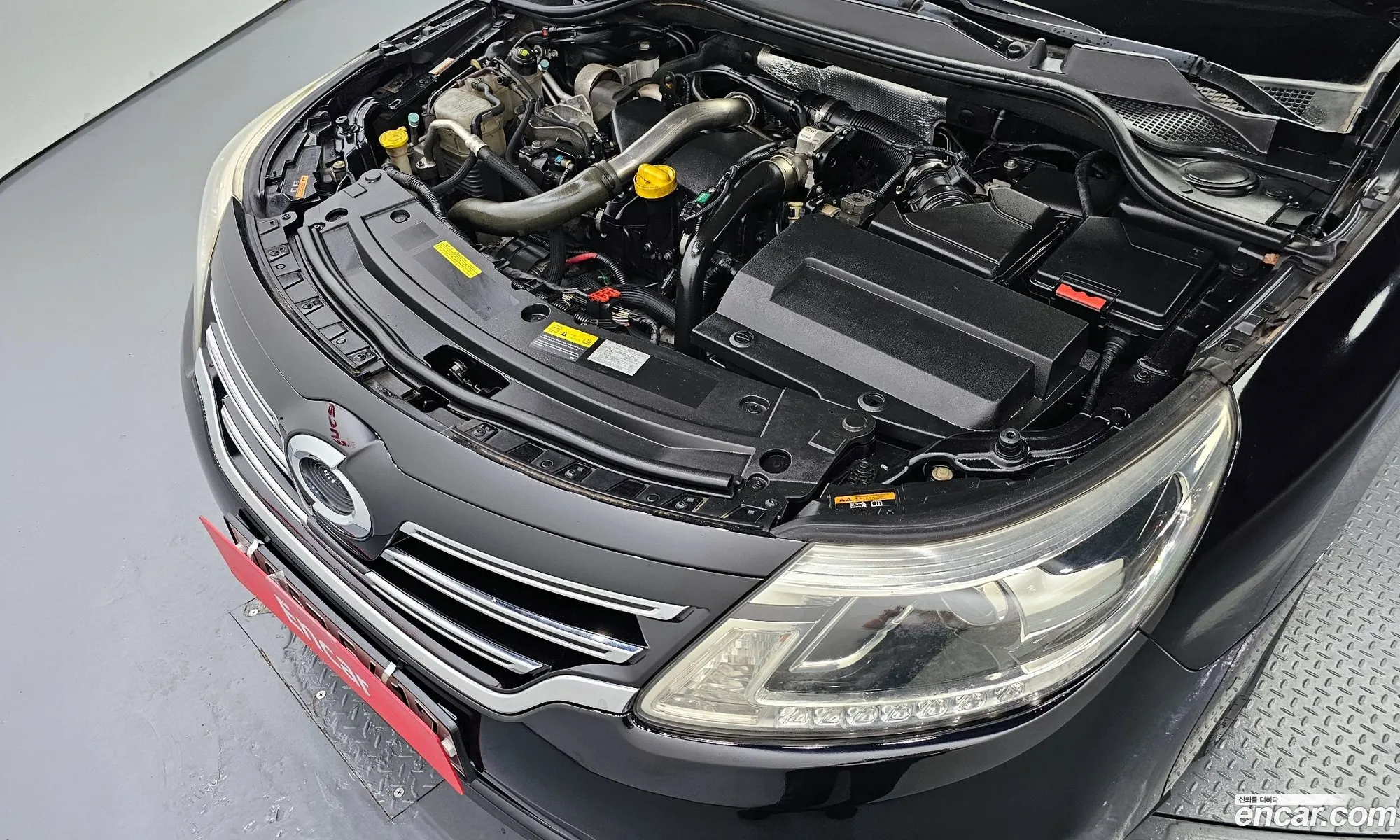 Renault Samsung Sm5 Diesel D Premium 2016 - фотография 682904