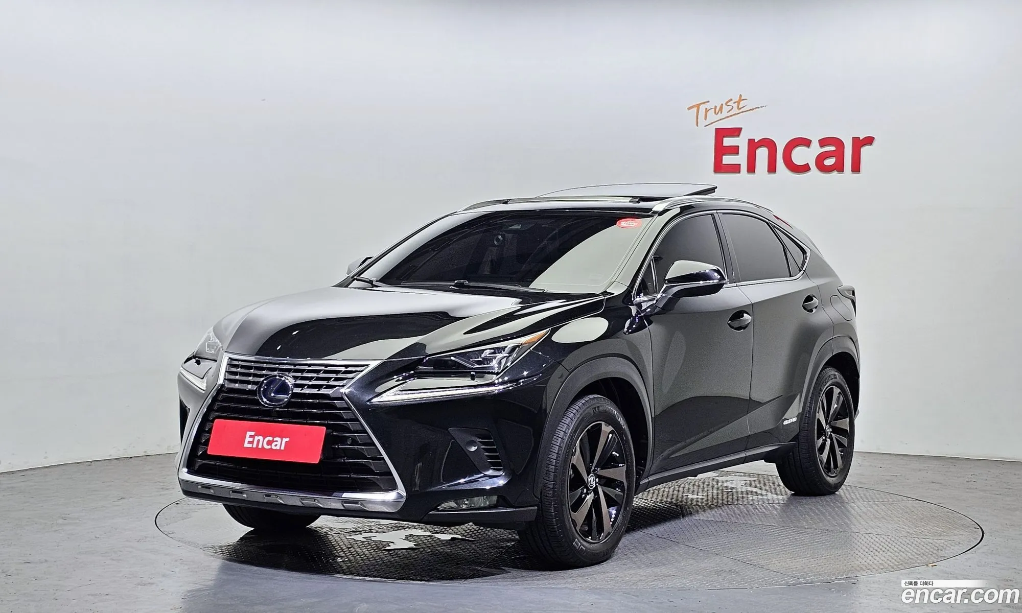 Lexus Nx300H Executive - фотография 3738452