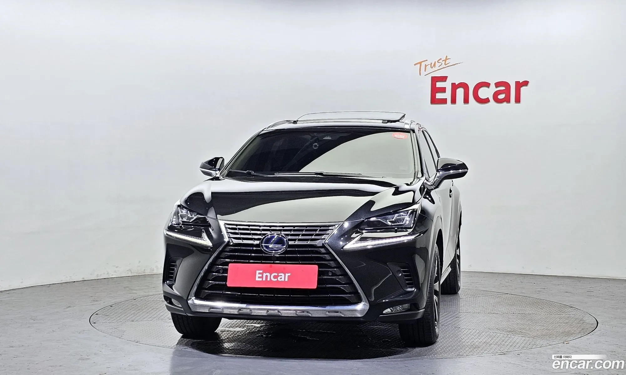 Lexus Nx300H Executive - фотография 3738454