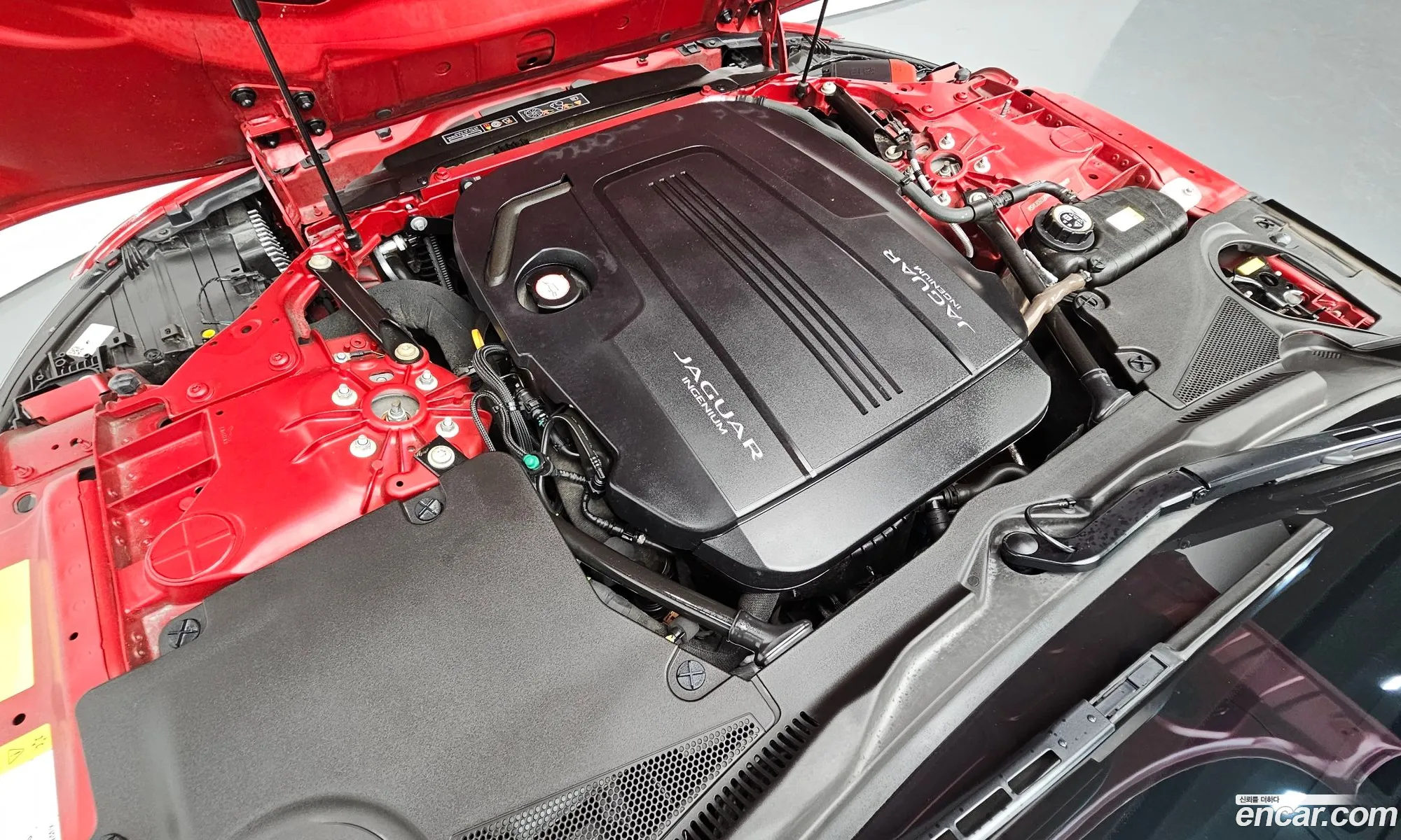 Jaguar F-Type I 2 P300 Coupe 2021 - фотография 3739704