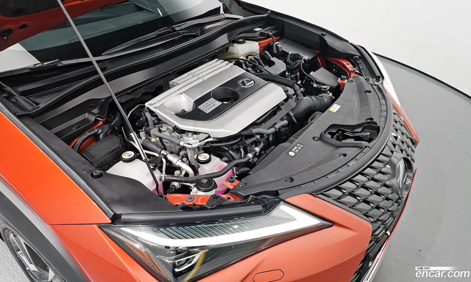 Lexus Ux I 20 Awd 2019 - фотография 3744610