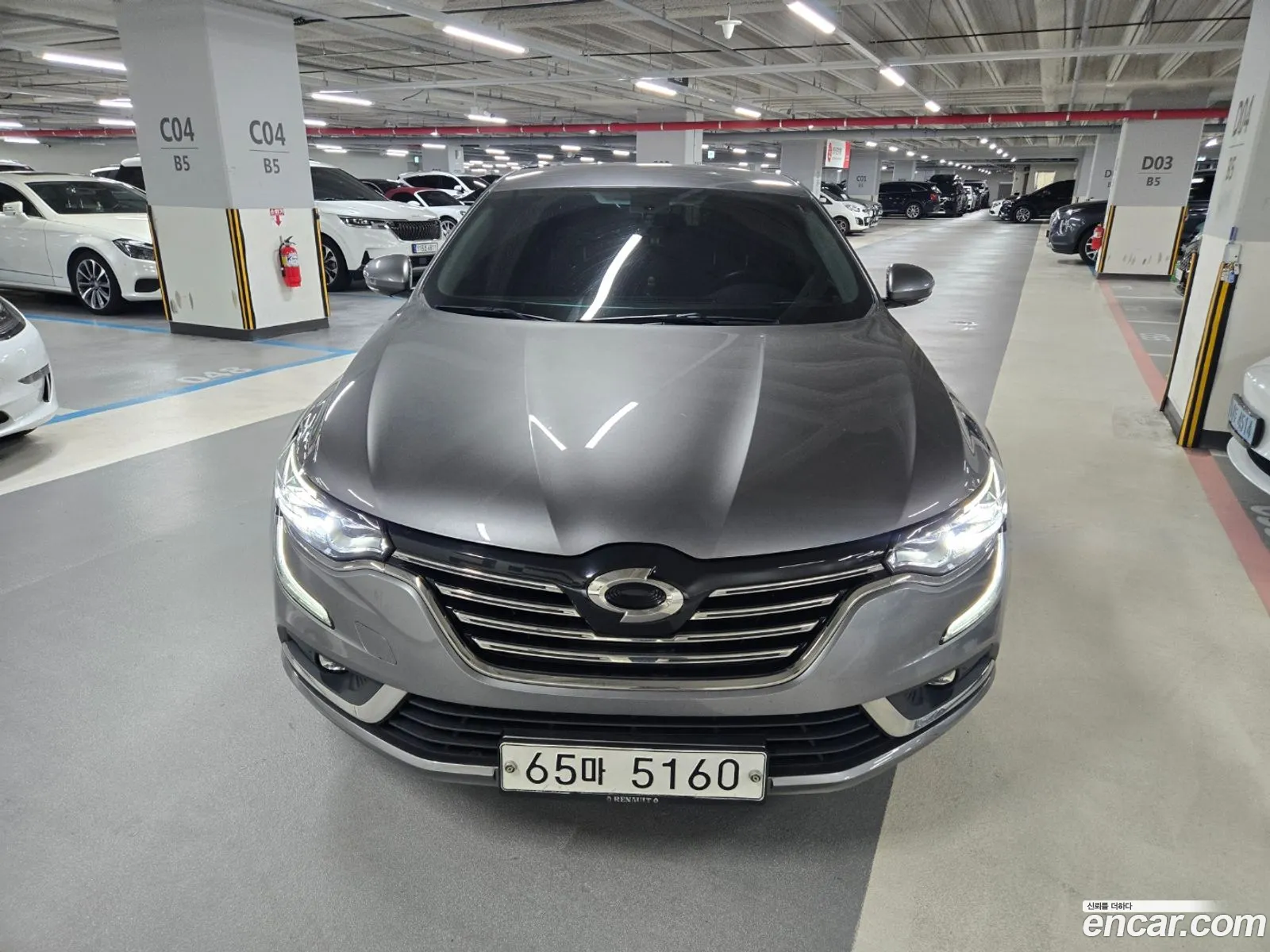Renault Samsung Sm6 20 Lpe Se For The Disabled 2019 - фотография 12403146