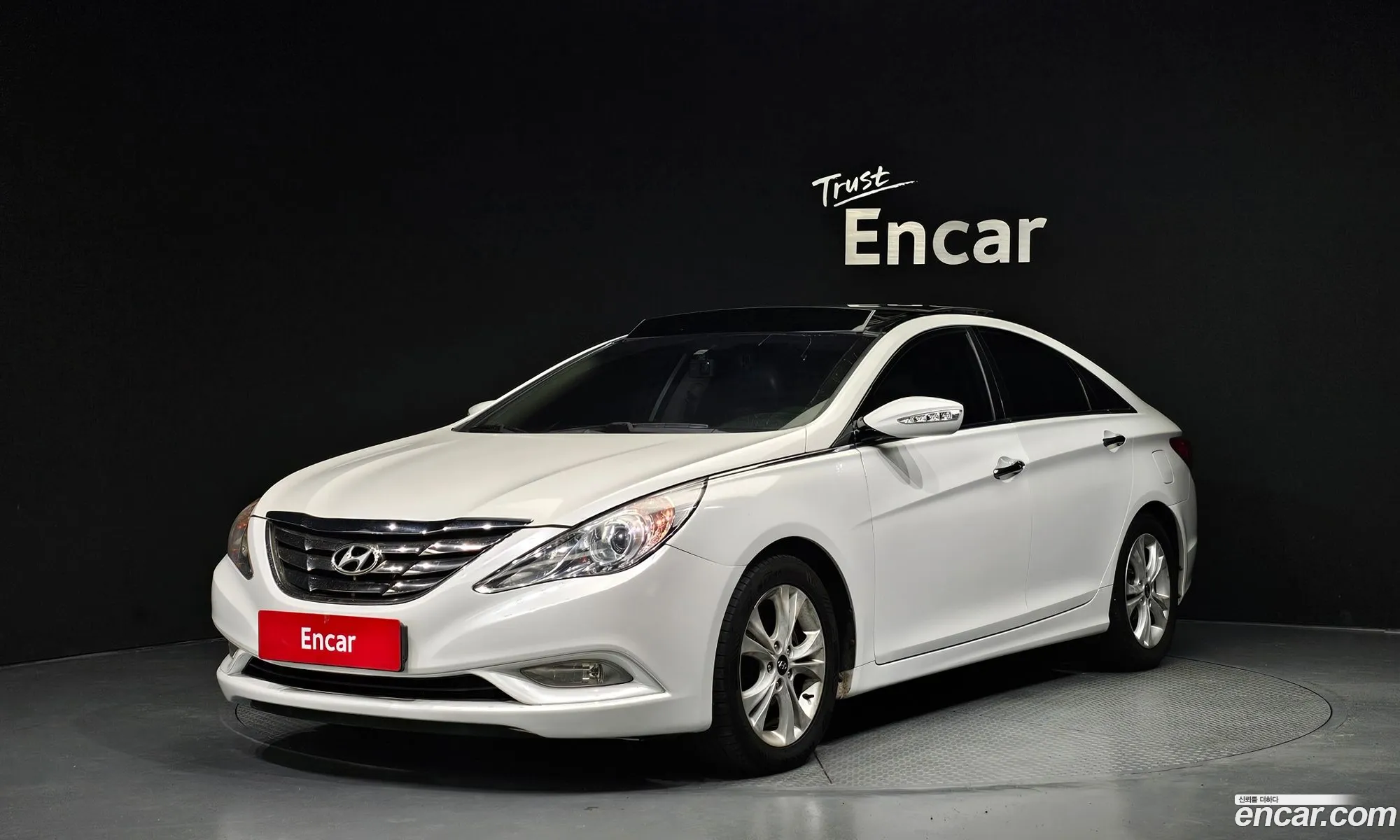 Hyundai Sonata Lpi Premier For The Disabled 2010 - фотография 18951772