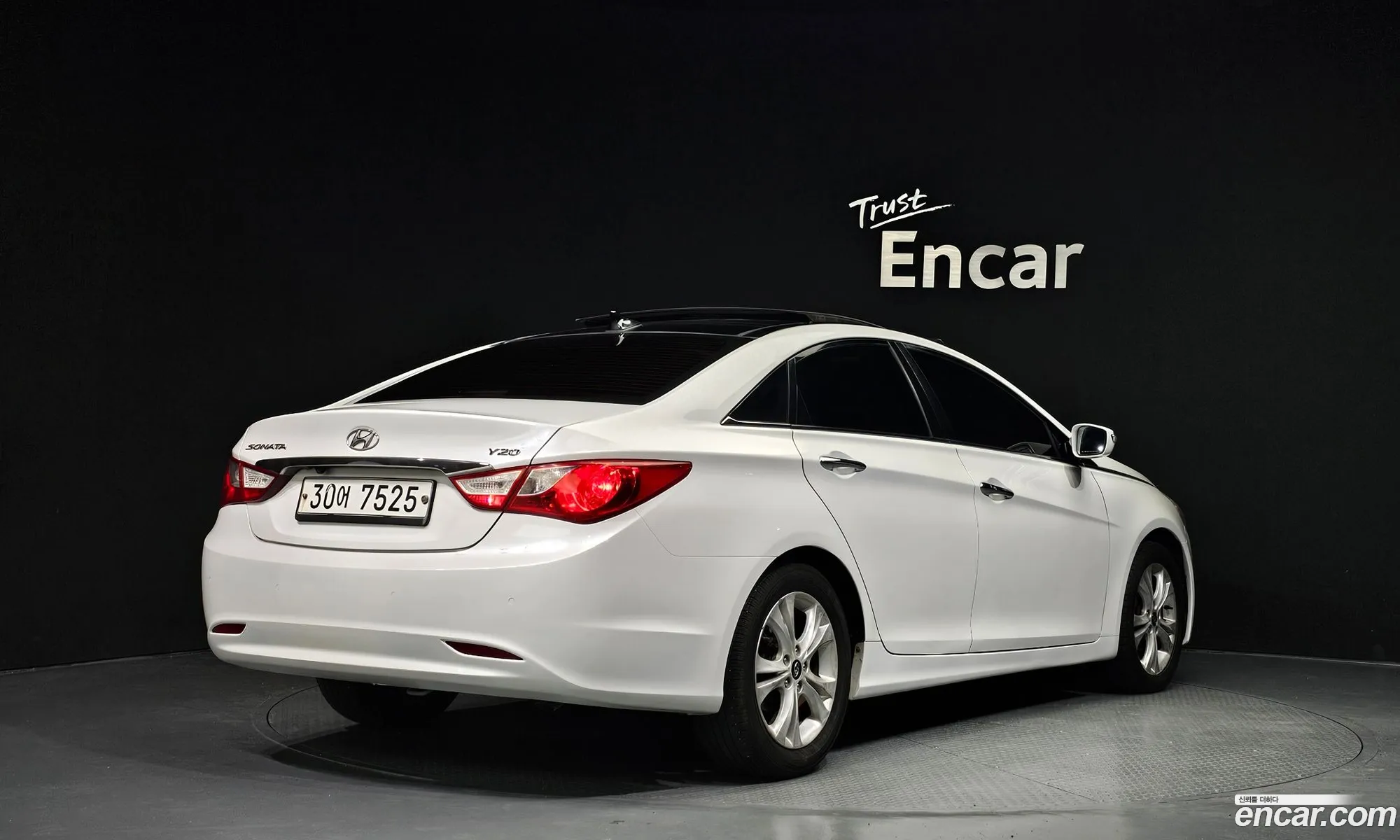 Hyundai Sonata Lpi Premier For The Disabled 2010 - фотография 18951773