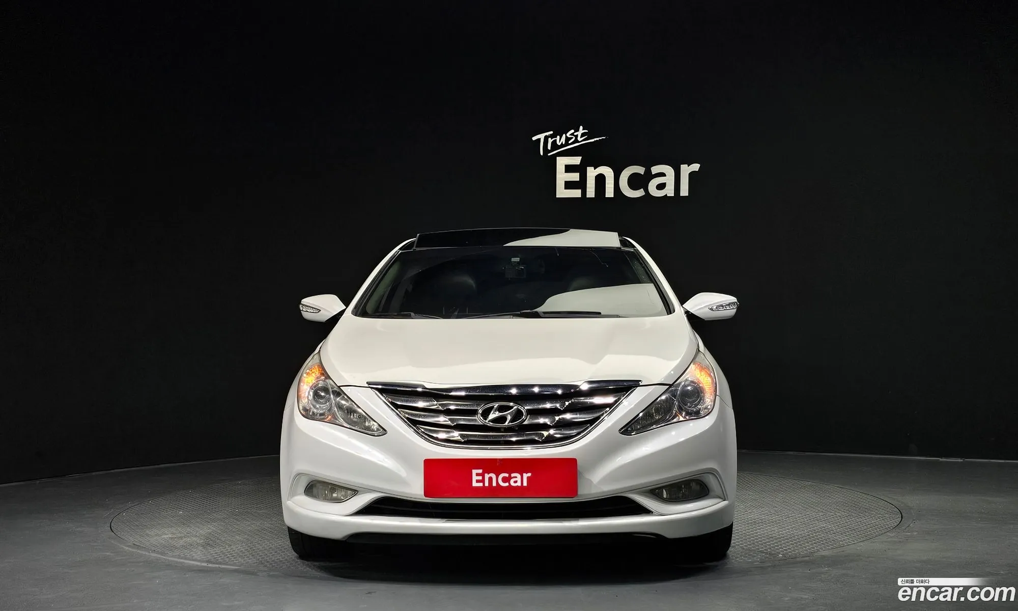 Hyundai Sonata Lpi Premier For The Disabled 2010 - фотография 18951774