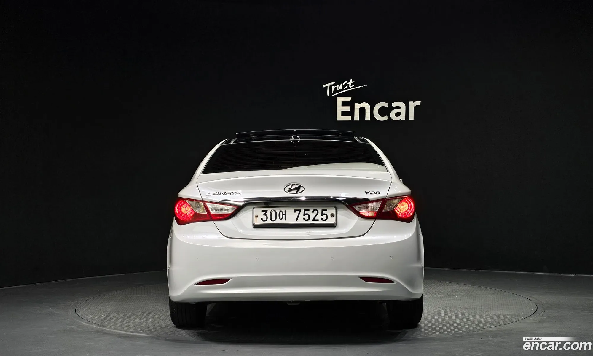 Hyundai Sonata Lpi Premier For The Disabled 2010 - фотография 18951775