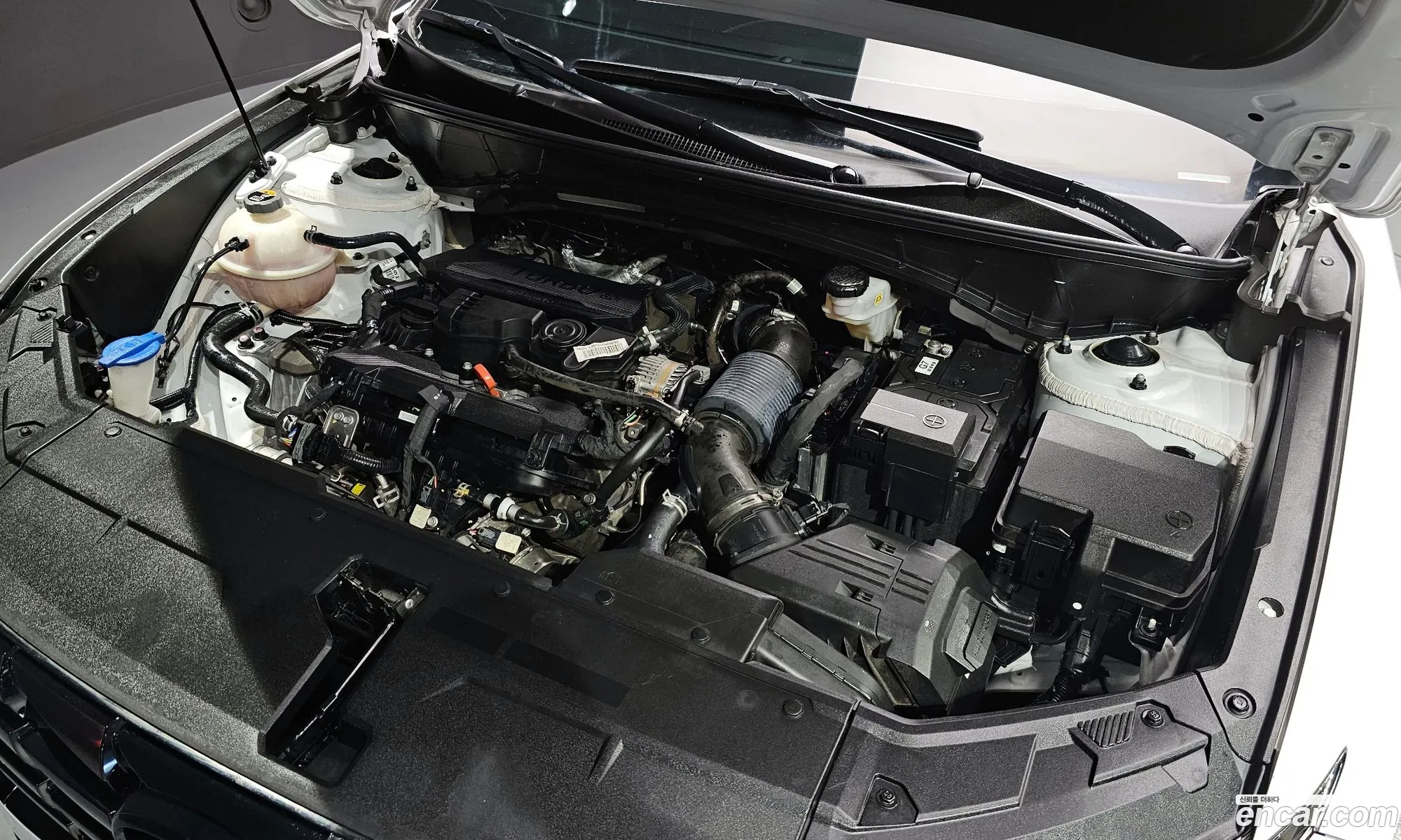 Hyundai Tucson Iv Gasoline 16 Turbo 2Wd 2022 - фотография 18984458
