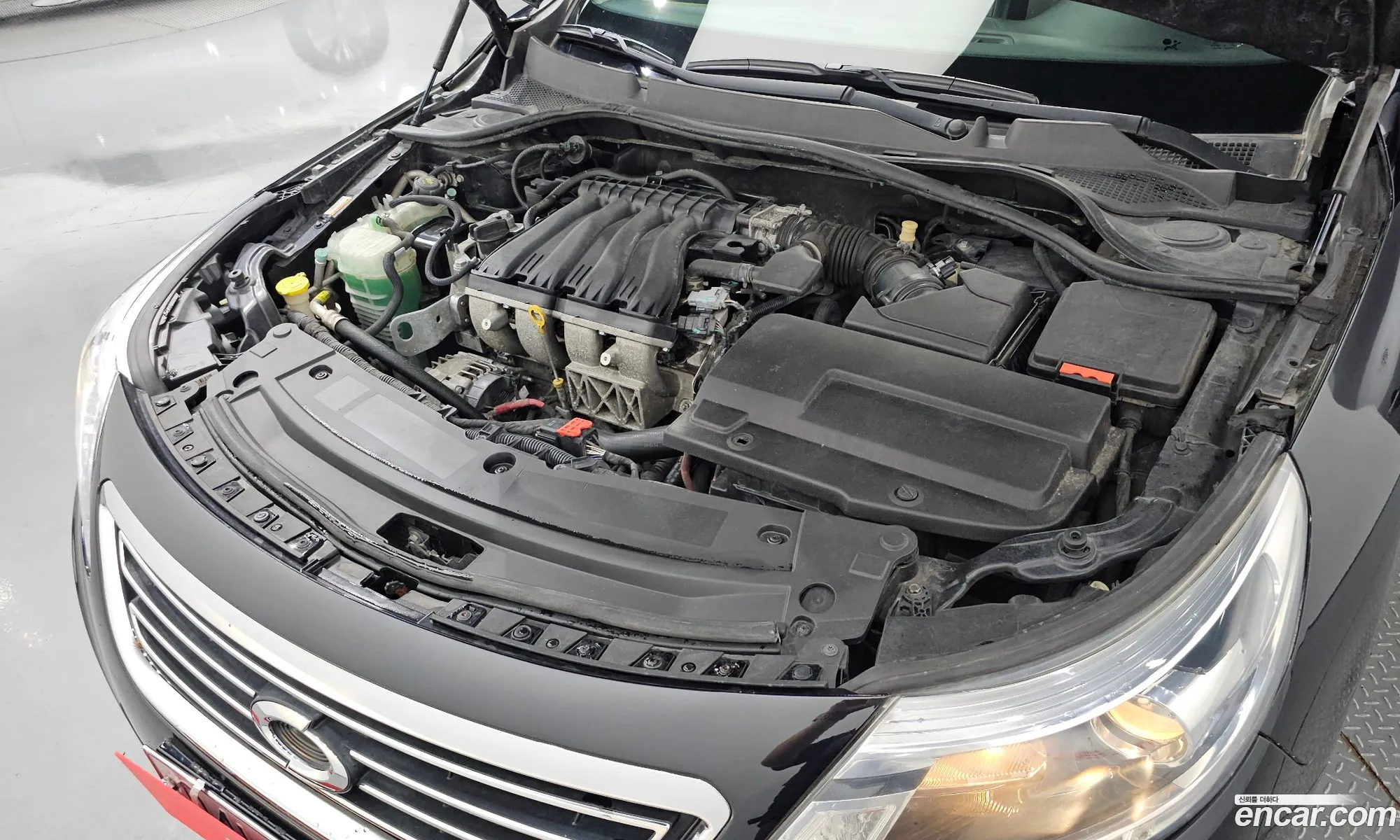 Renault Samsung Sm5 Pe 2013 - фотография 682941