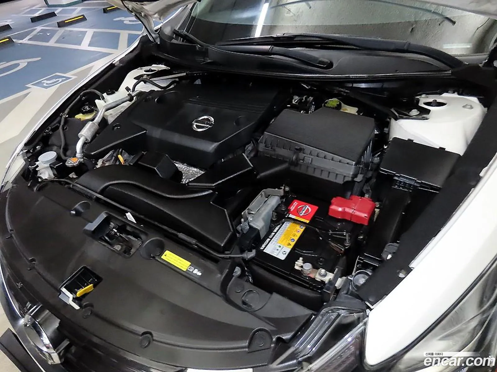 Nissan Altima V L33 25 2017 - фотография 3516984
