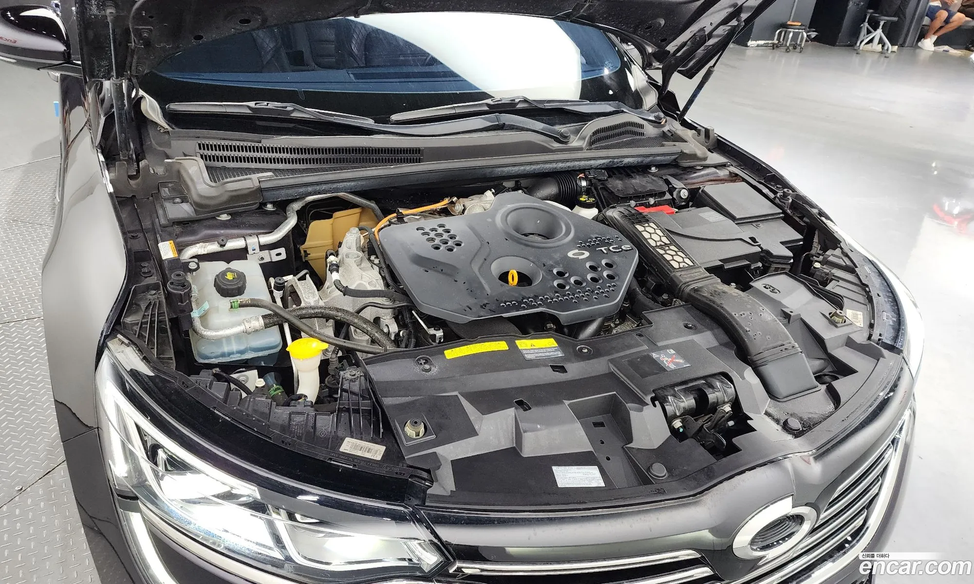 Renault Samsung Sm6 16 Tce Re 2017 - фотография 310822