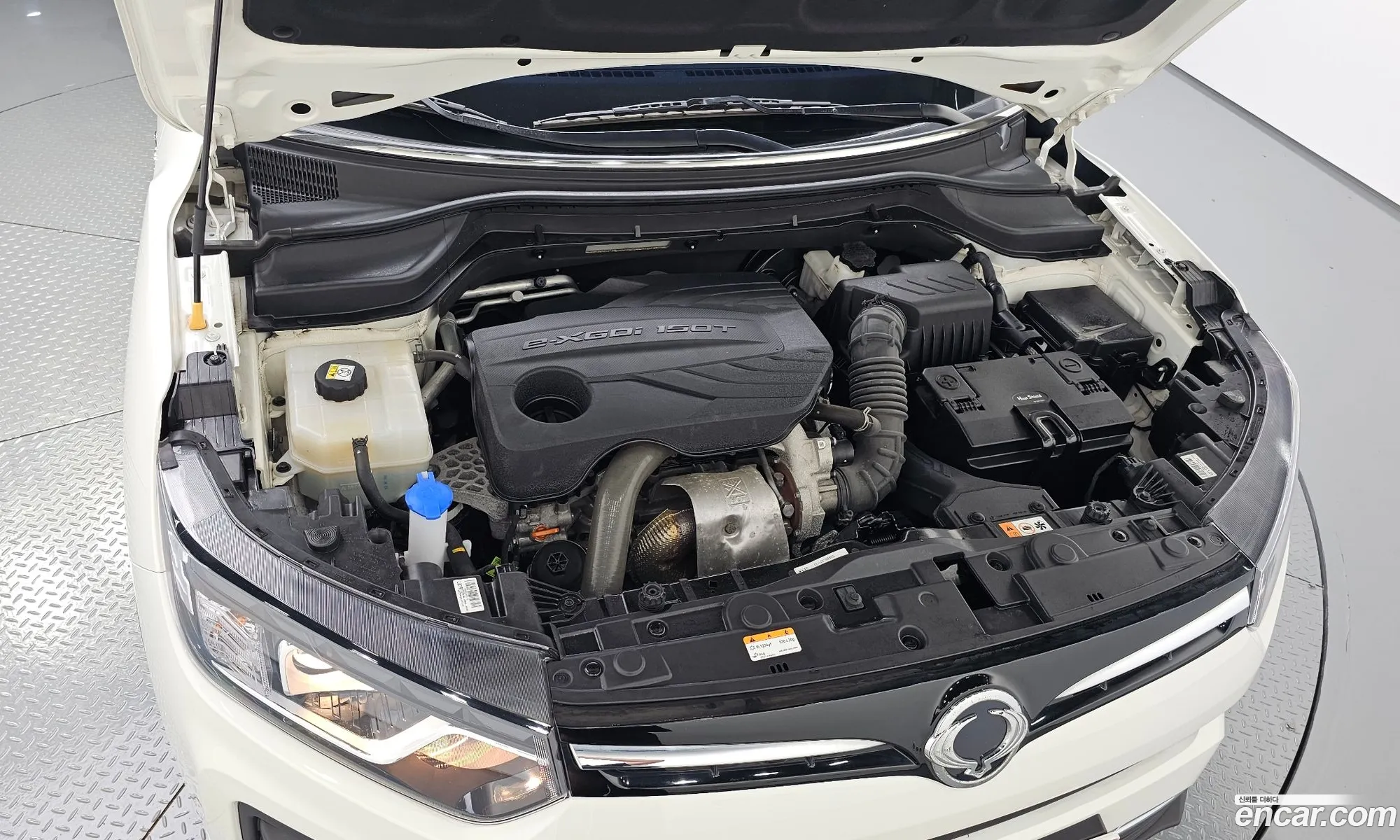 Ssangyong Tivoli Tivoli Gasoline 15 2Wd 2021 - фотография 14489929