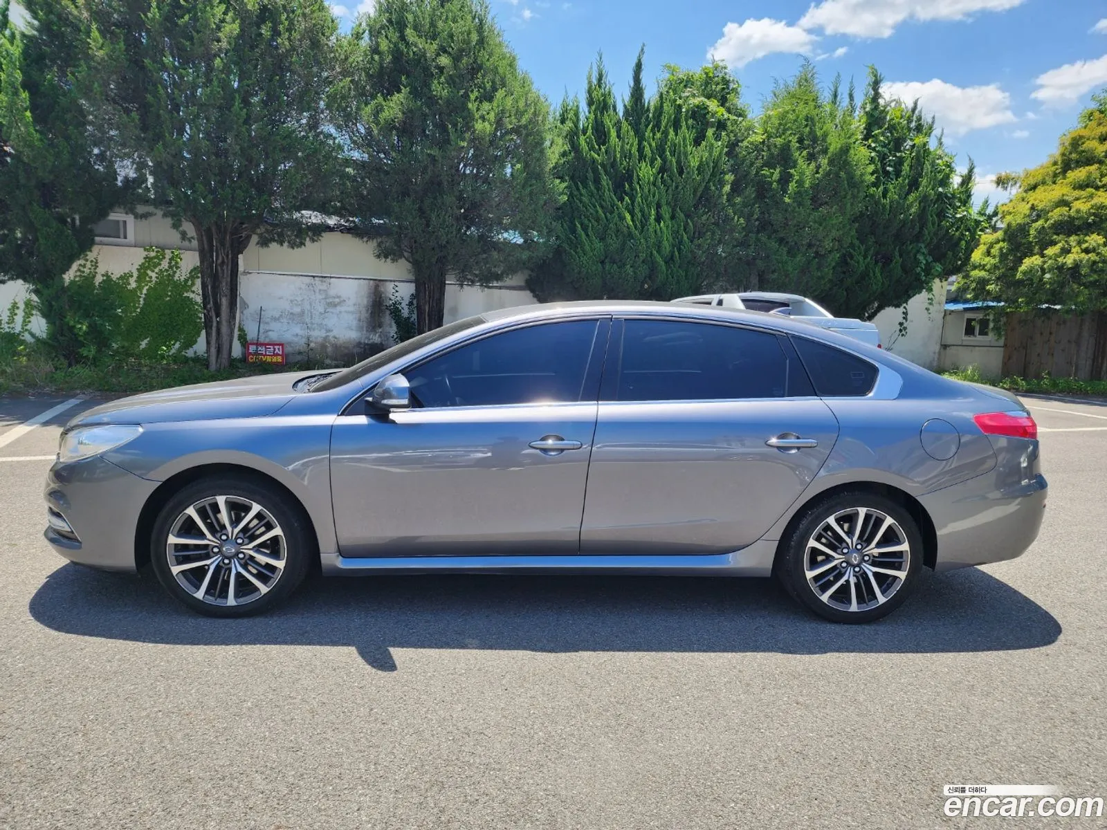 Renault Samsung Sm7 Lpli 20 Lpe For The Disabled 2017 - фотография 317881
