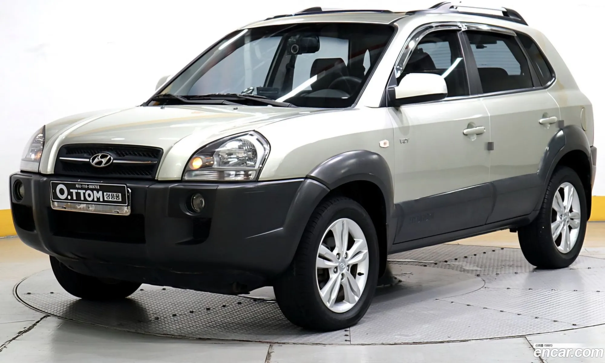Hyundai Tucson I Diesel Vgt 2Wd Mx 2007 - фотография 19133068