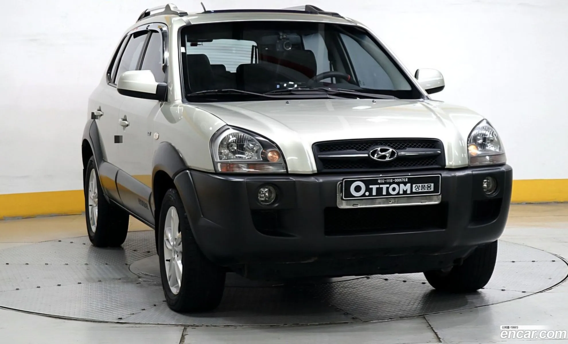 Hyundai Tucson I Diesel Vgt 2Wd Mx 2007 - фотография 19133070